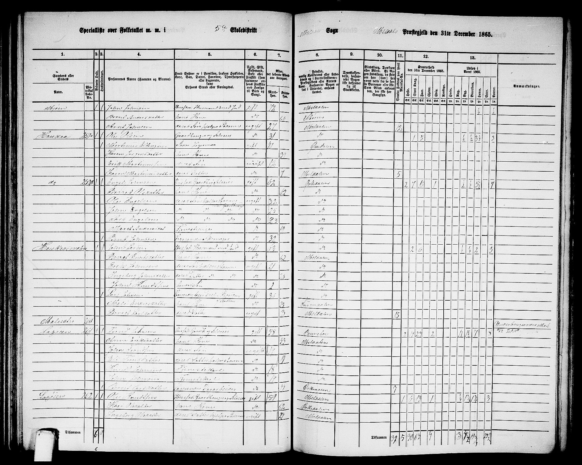 RA, 1865 census for Meldal, 1865, p. 119