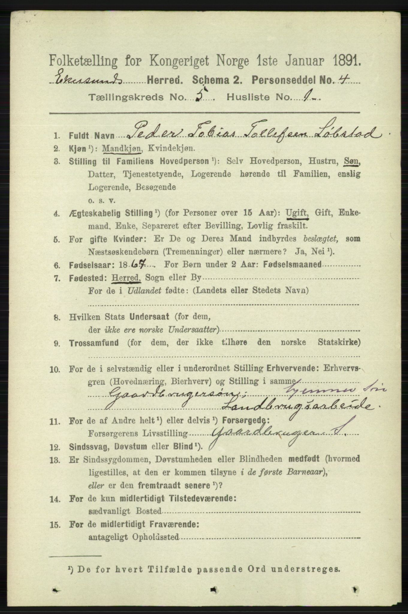 RA, 1891 census for 1116 Eigersund herred, 1891, p. 2048