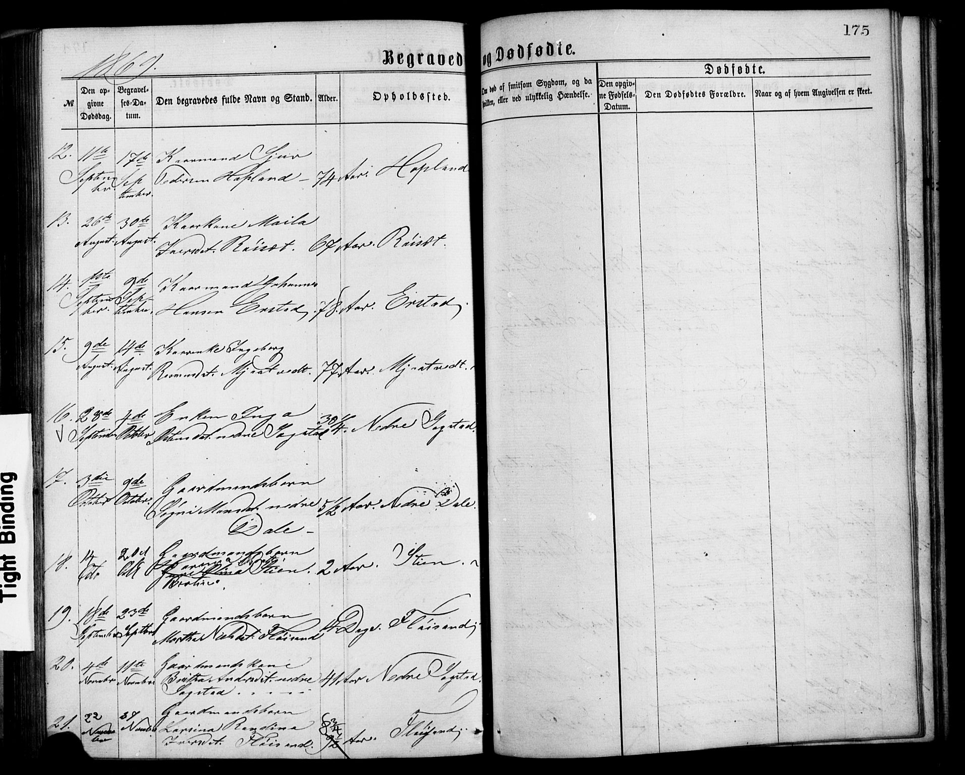 Alversund Sokneprestembete, SAB/A-73901/H/Ha/Hab: Parish register (copy) no. C 2, 1867-1880, p. 175