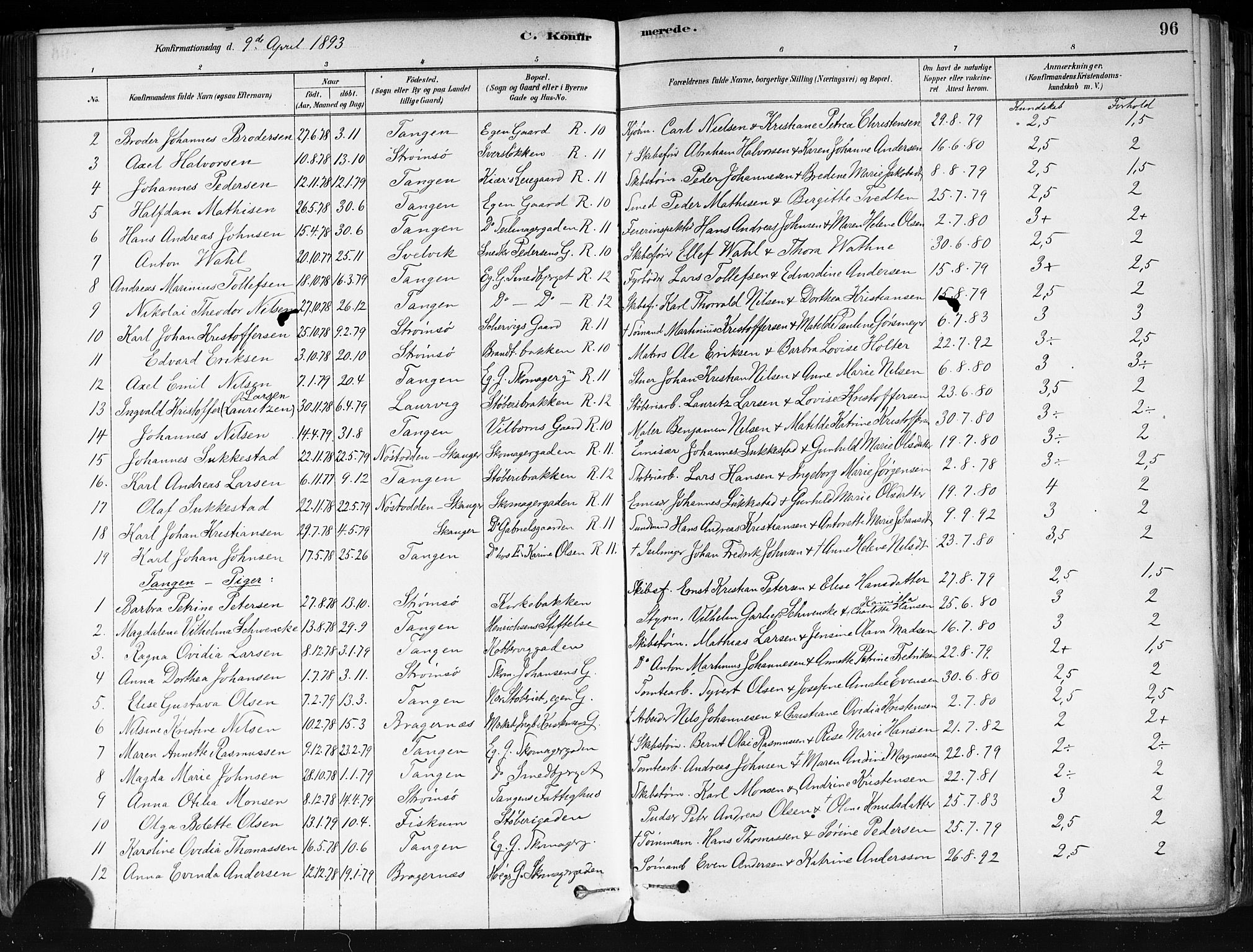 Strømsø kirkebøker, AV/SAKO-A-246/F/Fa/L0022: Parish register (official) no. I 22, 1879-1899, p. 96