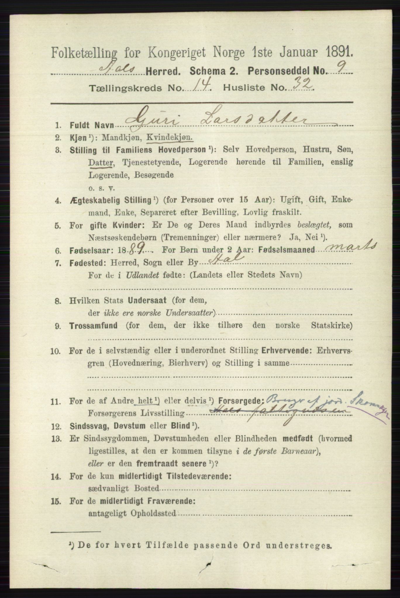 RA, 1891 census for 0619 Ål, 1891, p. 3704