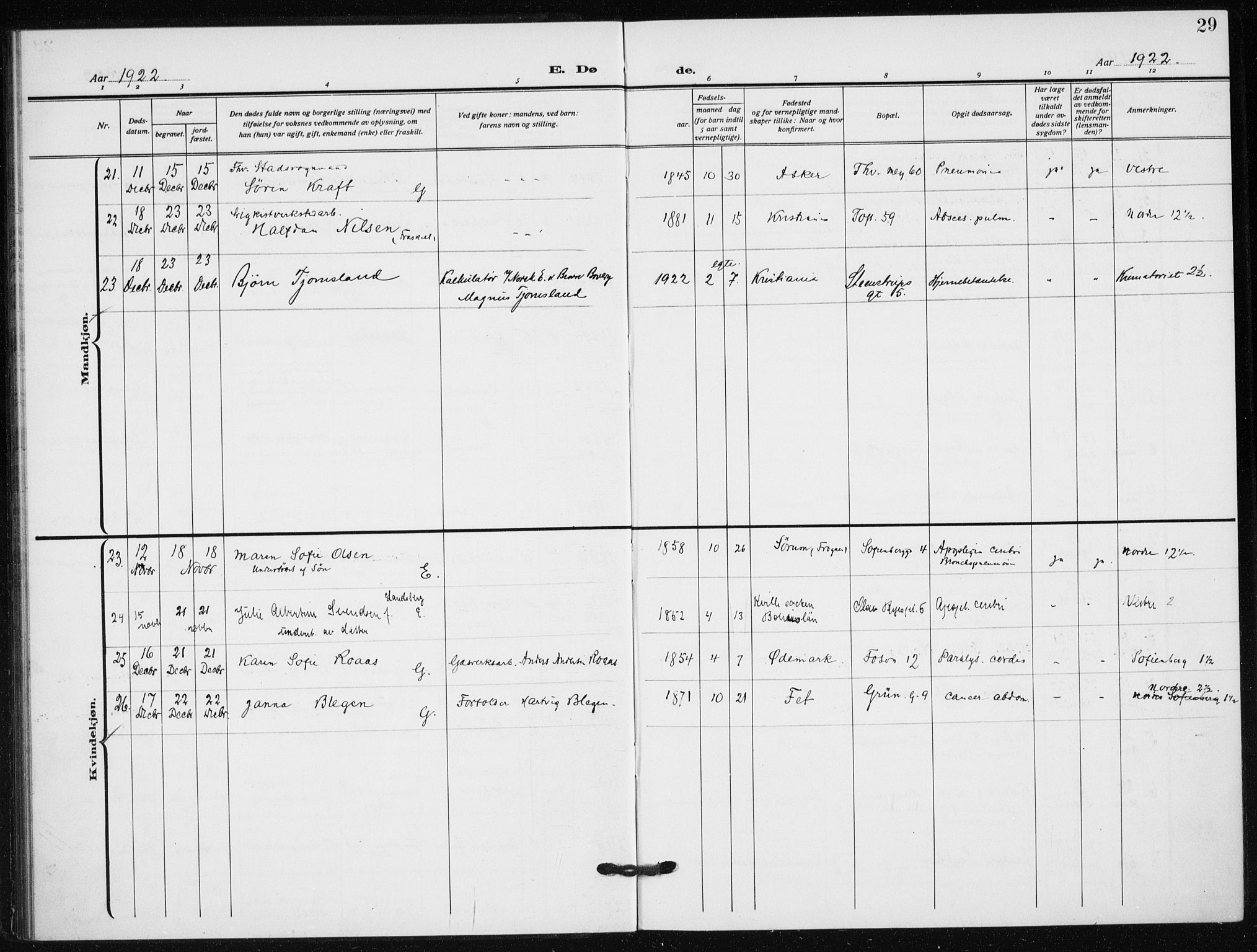 Hauge prestekontor Kirkebøker, AV/SAO-A-10849/F/Fa/L0005: Parish register (official) no. 5, 1917-1938, p. 29