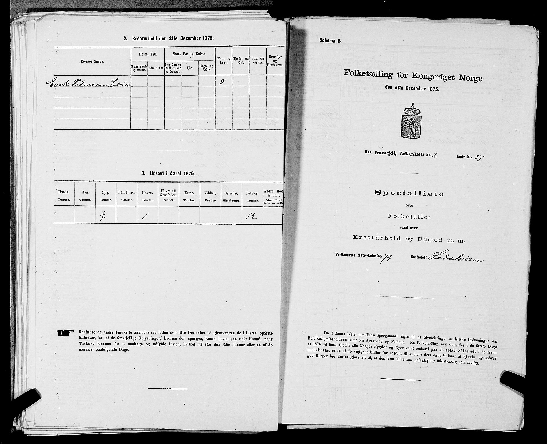 SAST, 1875 census for 1119P Hå, 1875, p. 315