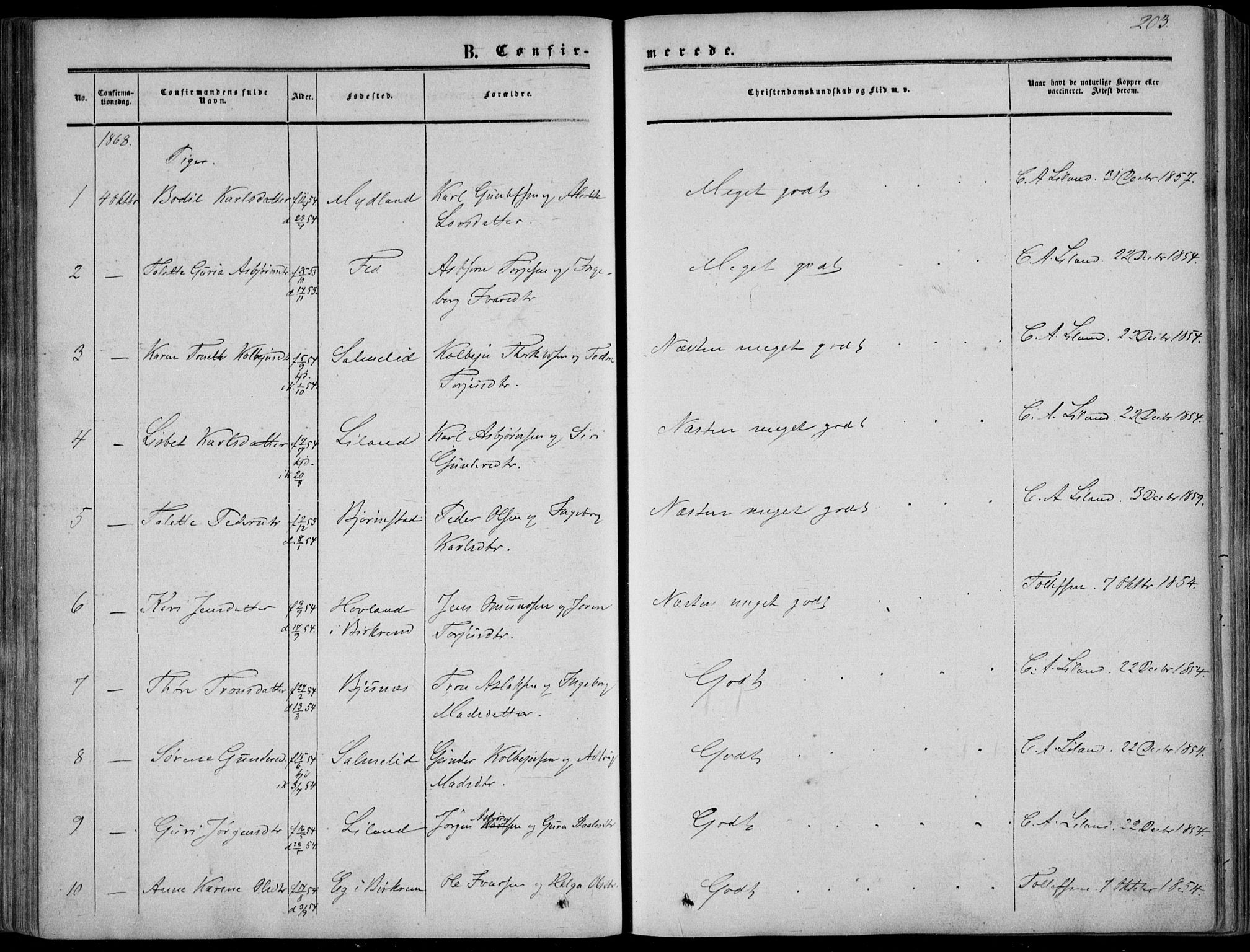 Sirdal sokneprestkontor, AV/SAK-1111-0036/F/Fa/Fab/L0002: Parish register (official) no. A 2, 1855-1874, p. 203