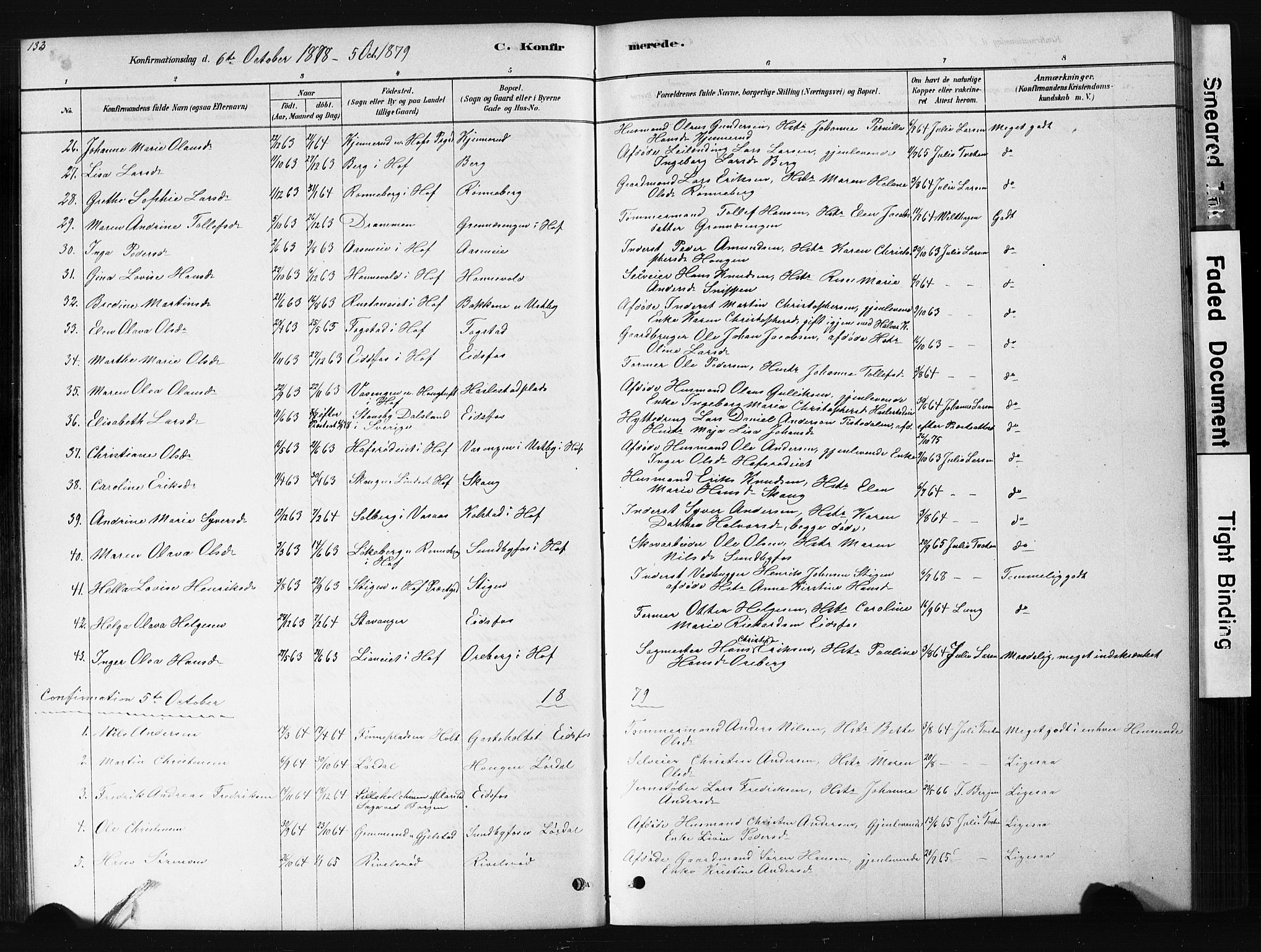 Hof kirkebøker, AV/SAKO-A-64/G/Ga/L0004: Parish register (copy) no. I 4, 1878-1930, p. 133