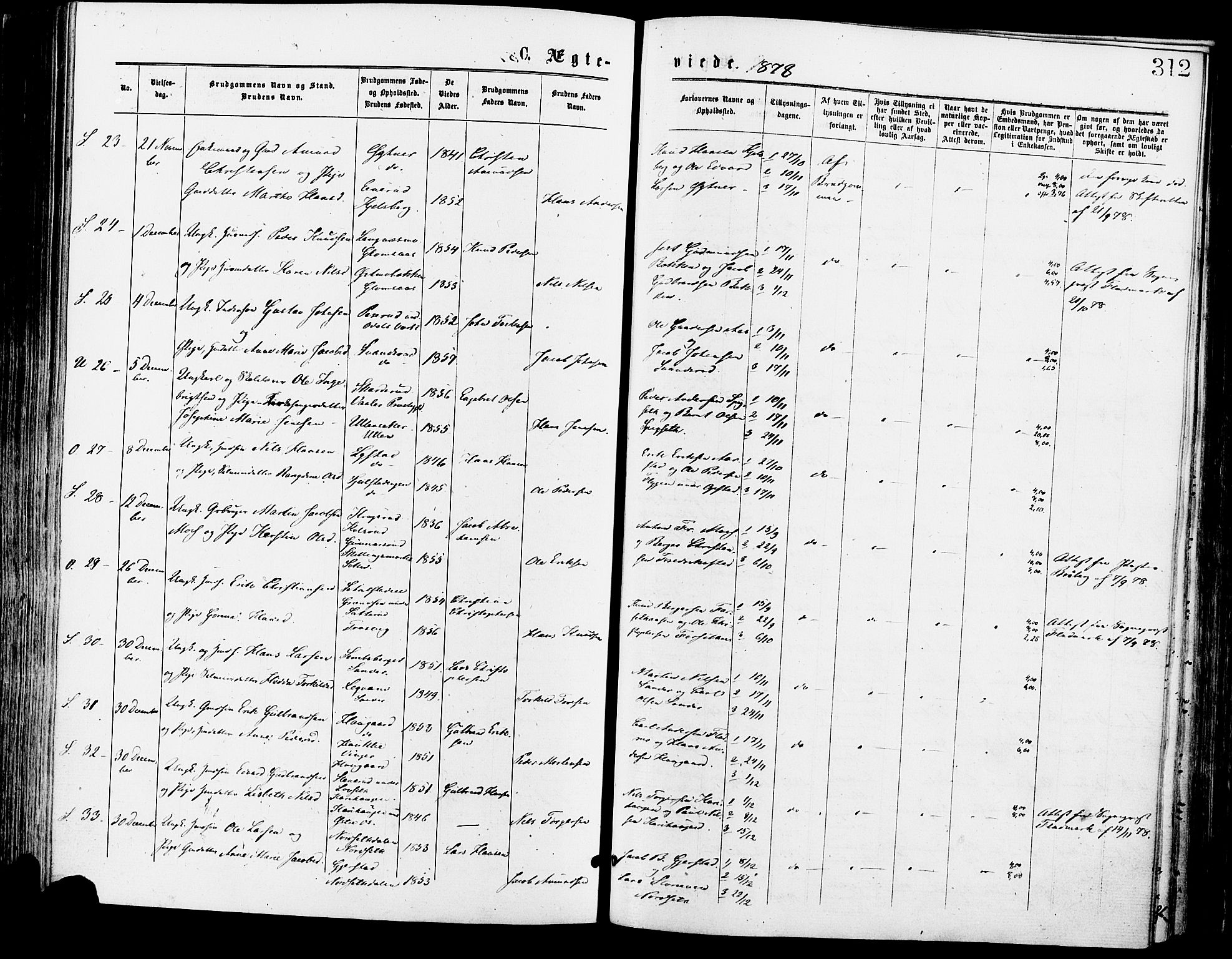 Sør-Odal prestekontor, AV/SAH-PREST-030/H/Ha/Haa/L0005: Parish register (official) no. 5, 1876-1885, p. 312