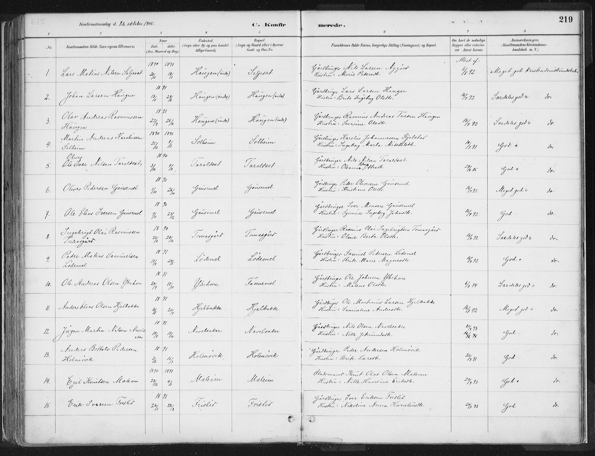 Hornindal sokneprestembete, SAB/A-82401/H/Haa/Haaa/L0003/0001: Parish register (official) no. A 3A, 1887-1917, p. 219