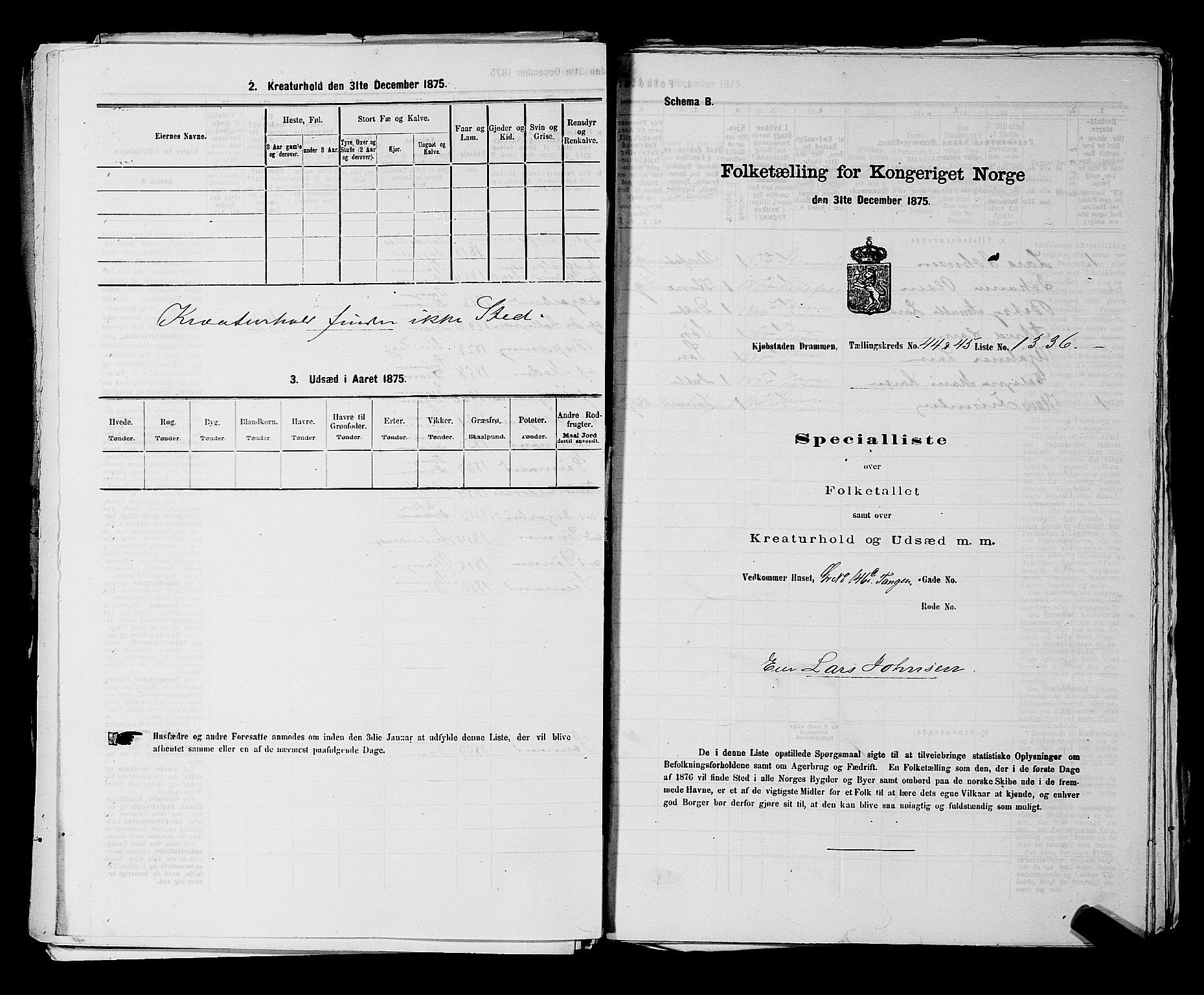 SAKO, 1875 census for 0602 Drammen, 1875, p. 3623