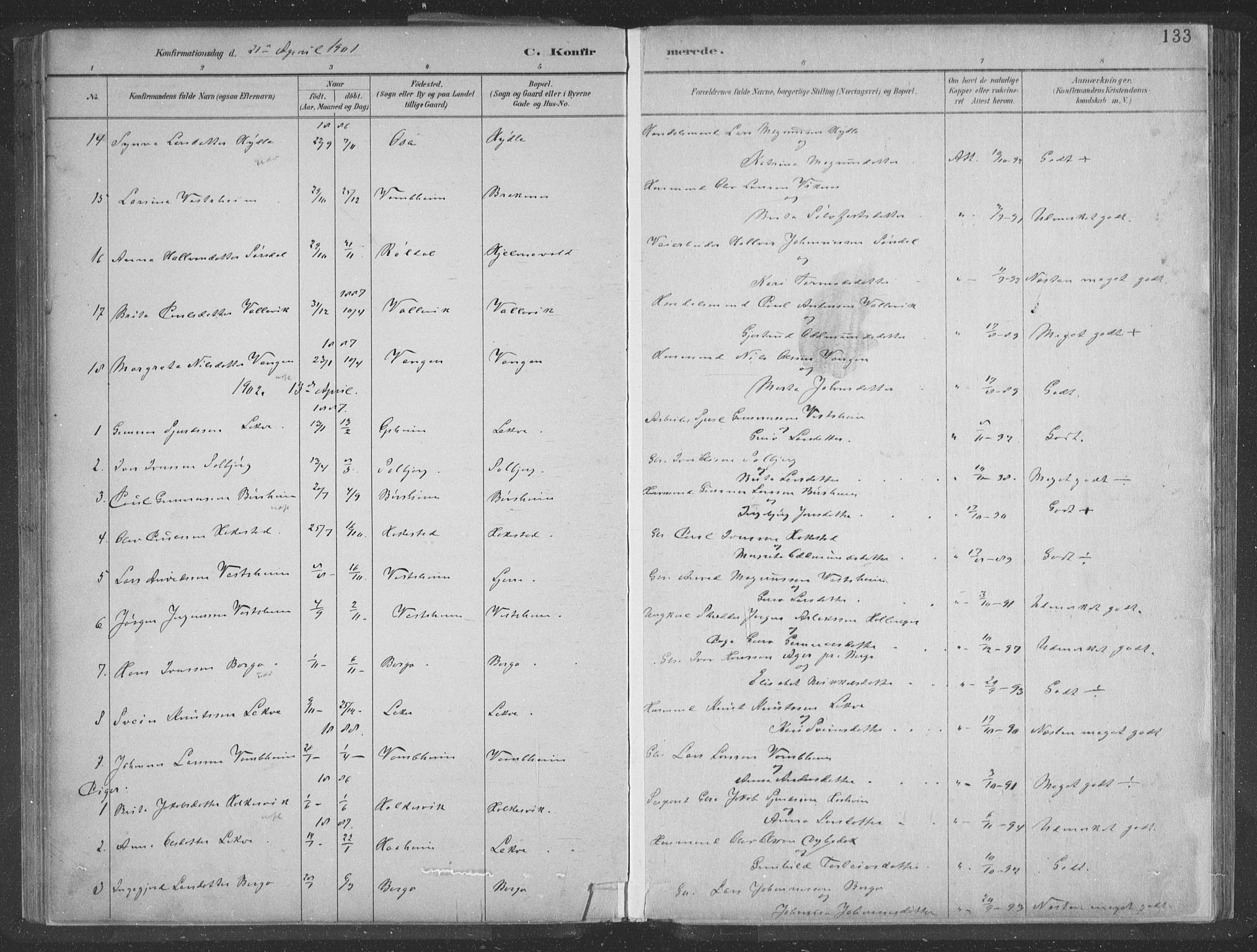 Ulvik sokneprestembete, SAB/A-78801/H/Hab: Parish register (copy) no. A 3, 1883-1908, p. 133