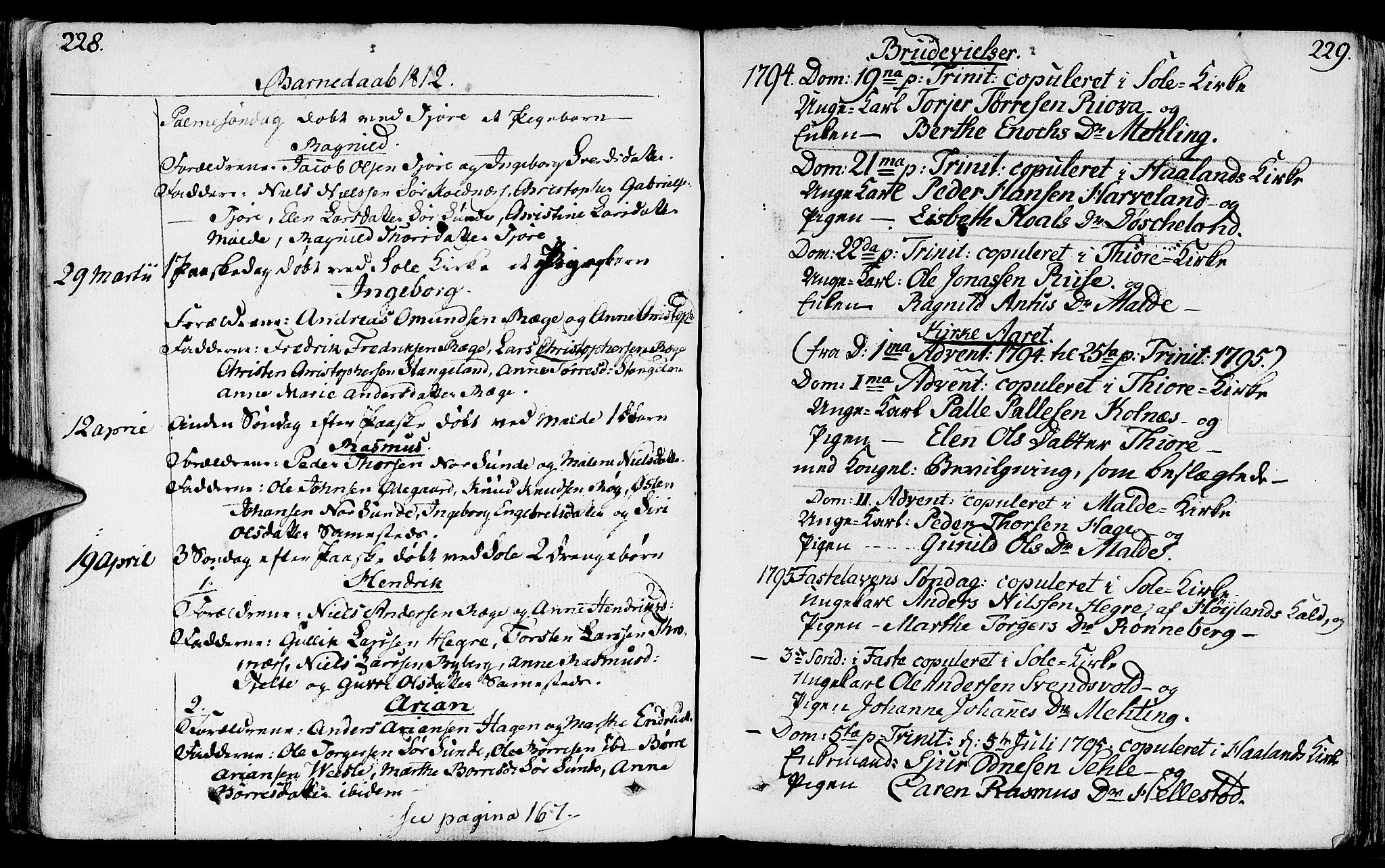 Håland sokneprestkontor, SAST/A-101802/001/30BA/L0003: Parish register (official) no. A 3, 1794-1815, p. 228-229