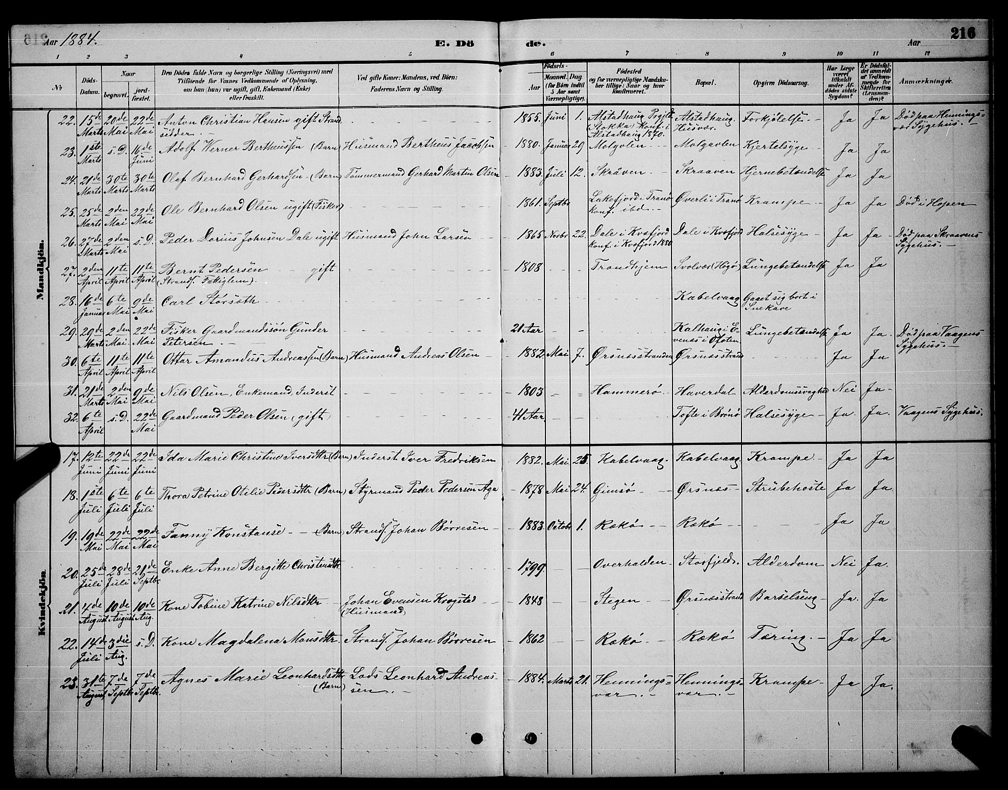 Ministerialprotokoller, klokkerbøker og fødselsregistre - Nordland, AV/SAT-A-1459/874/L1076: Parish register (copy) no. 874C05, 1884-1890, p. 216