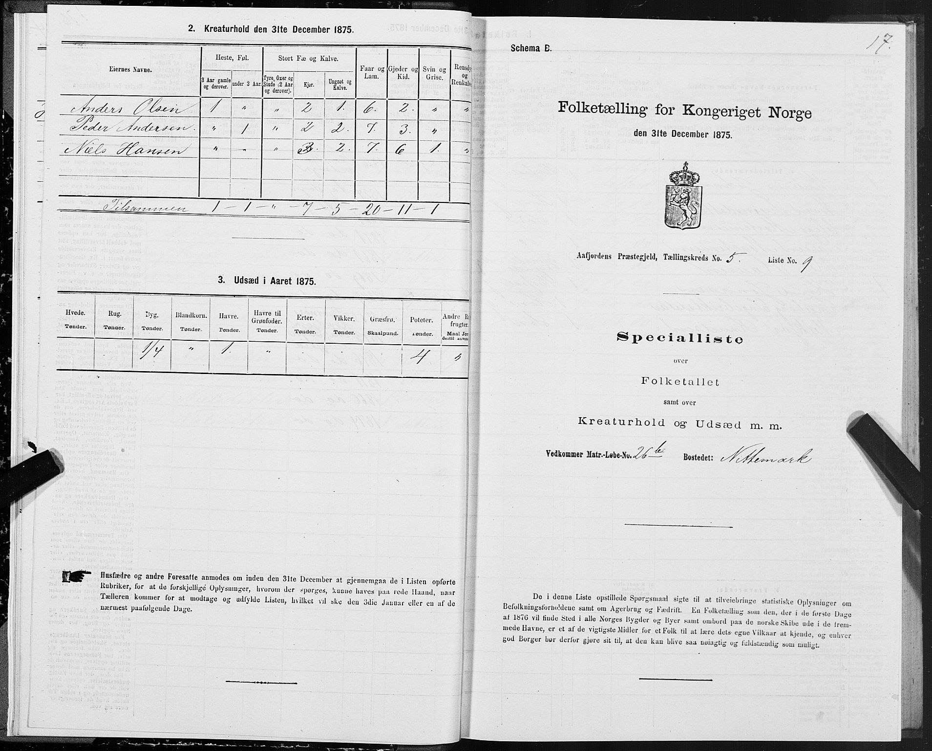 SAT, 1875 census for 1630P Aafjorden, 1875, p. 3017