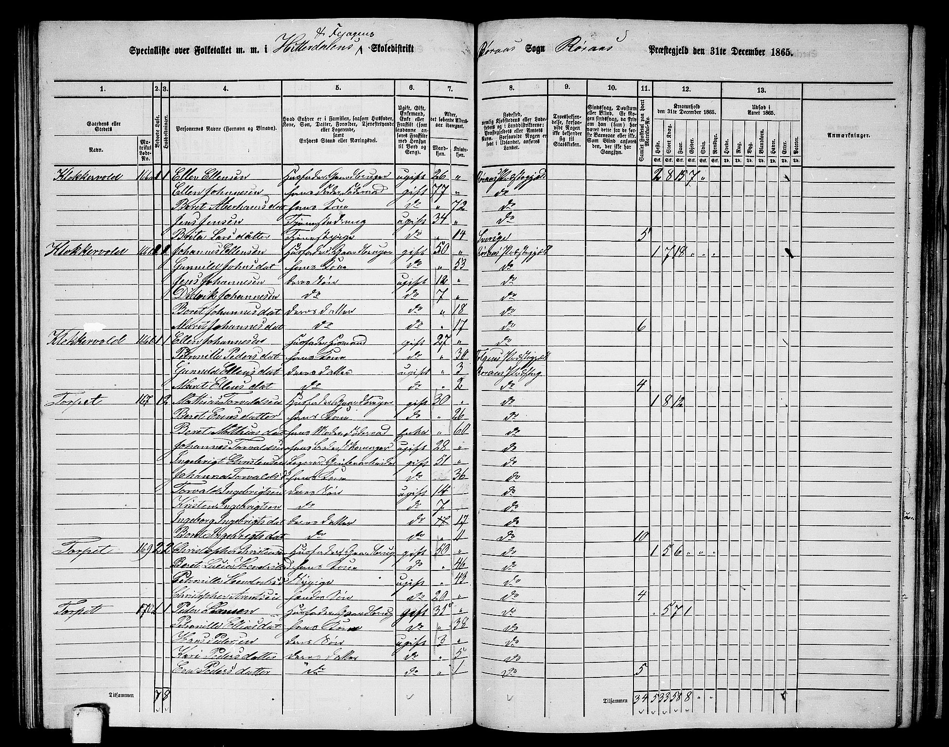 RA, 1865 census for Røros, 1865, p. 109