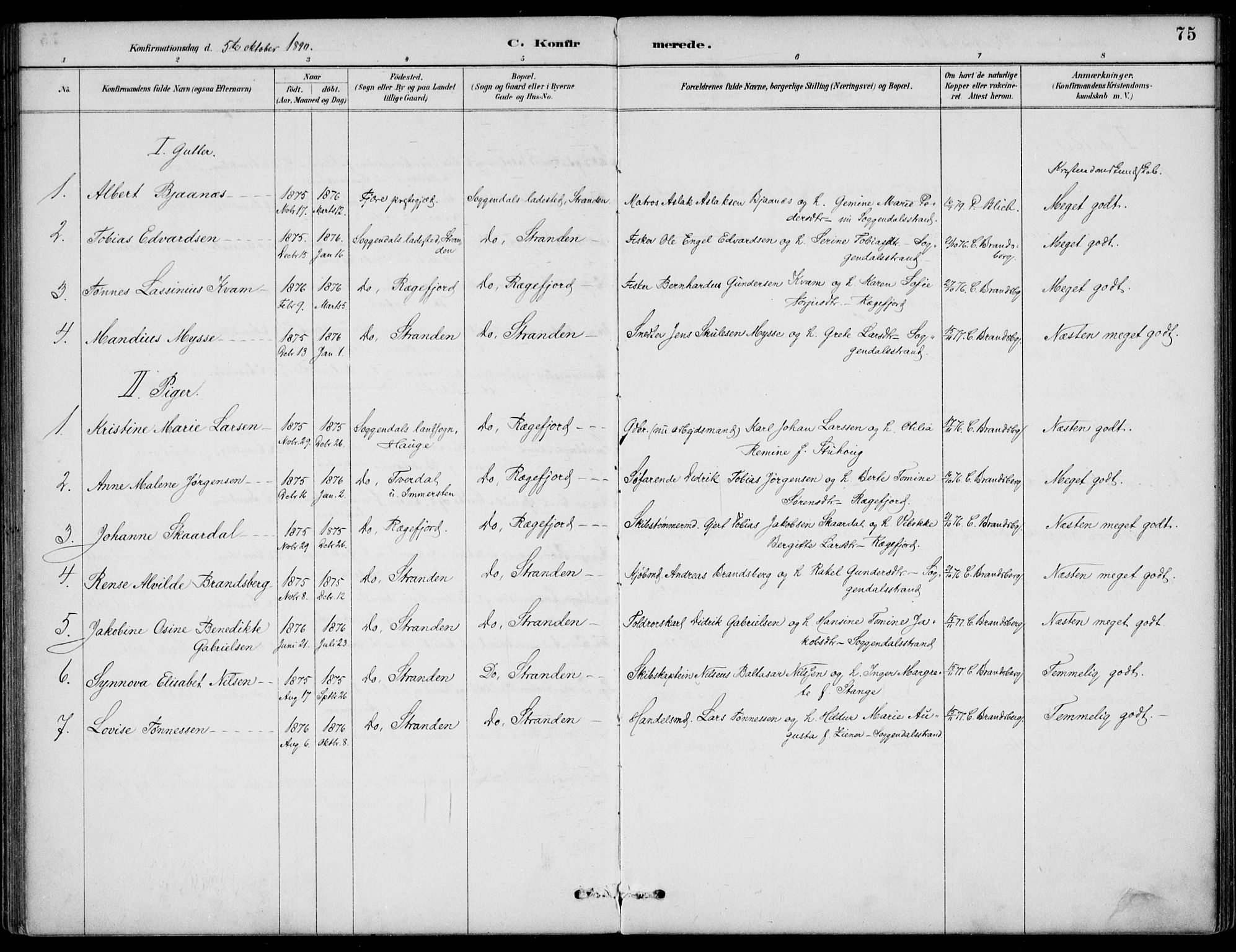 Sokndal sokneprestkontor, AV/SAST-A-101808: Parish register (official) no. A 12, 1887-1927, p. 75