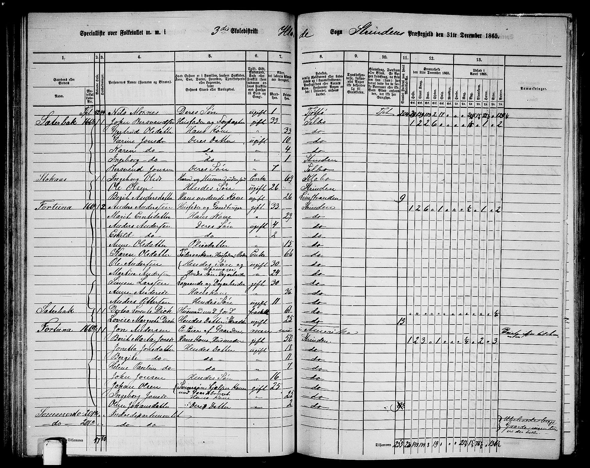 RA, 1865 census for Strinda, 1865, p. 79