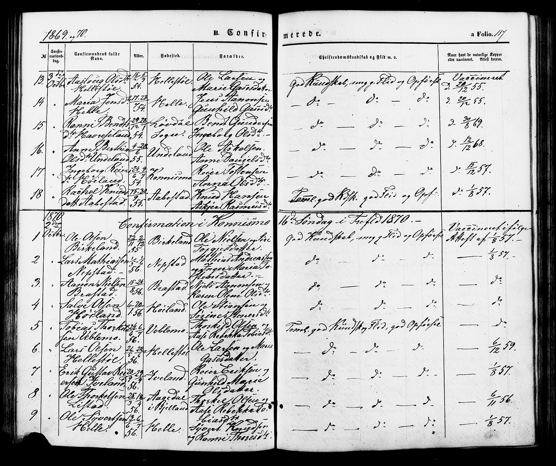 Nord-Audnedal sokneprestkontor, SAK/1111-0032/F/Fa/Faa/L0002: Parish register (official) no. A 2, 1857-1882, p. 117