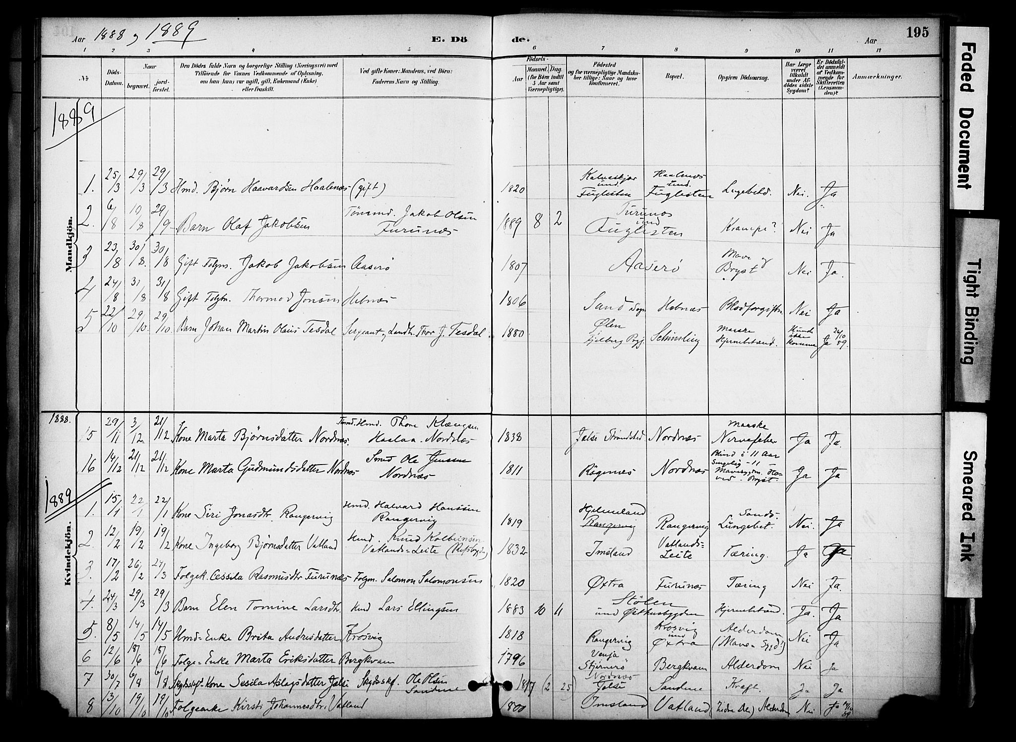 Jelsa sokneprestkontor, AV/SAST-A-101842/01/IV: Parish register (official) no. A 10, 1884-1906, p. 195