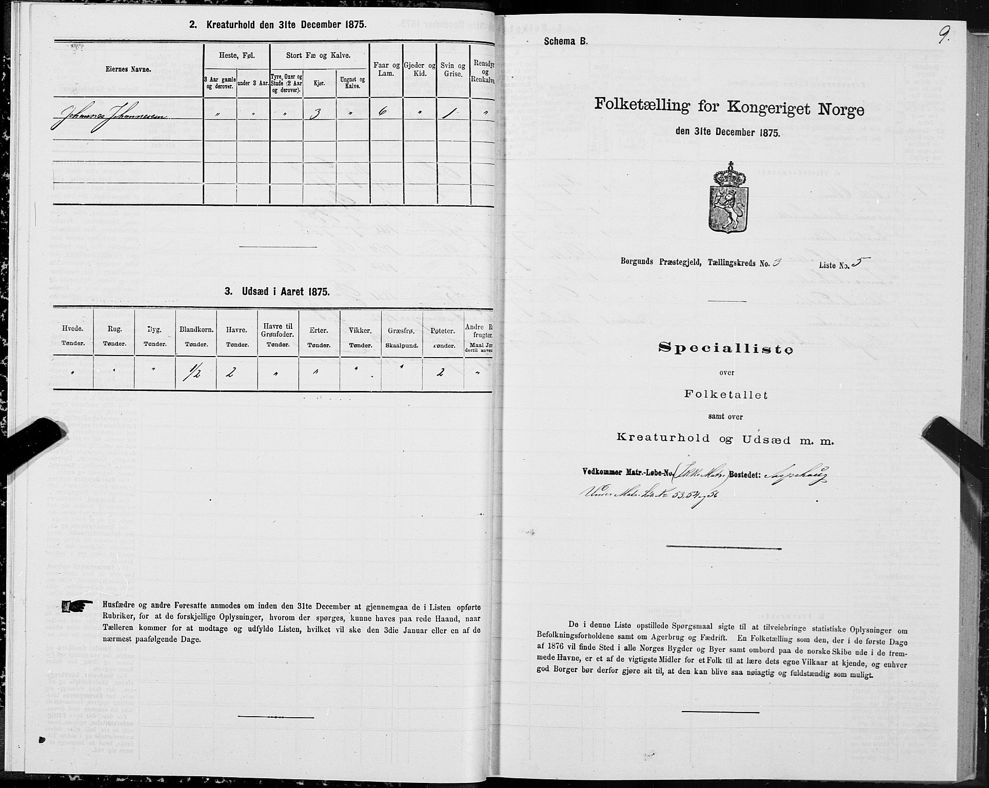 SAT, 1875 census for 1531P Borgund, 1875, p. 2009