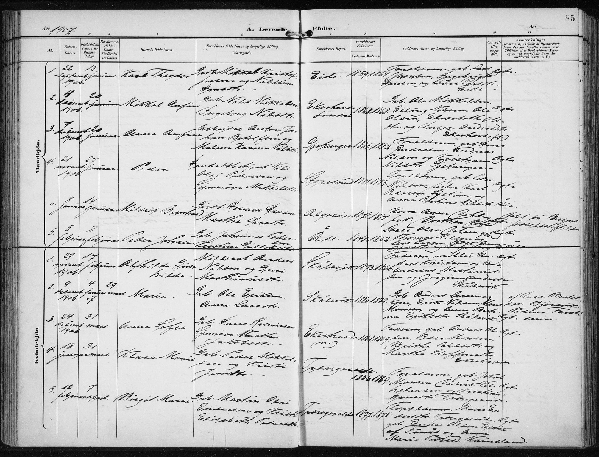 Fjell sokneprestembete, SAB/A-75301/H/Haa: Parish register (official) no. A  9, 1899-1910, p. 85