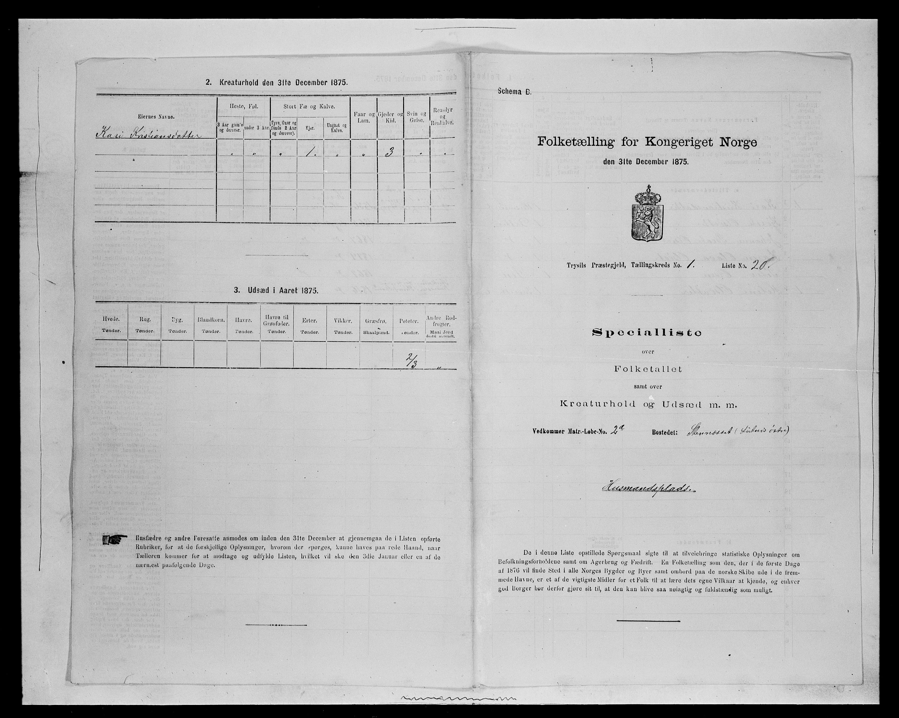 SAH, 1875 census for 0428P Trysil, 1875, p. 164