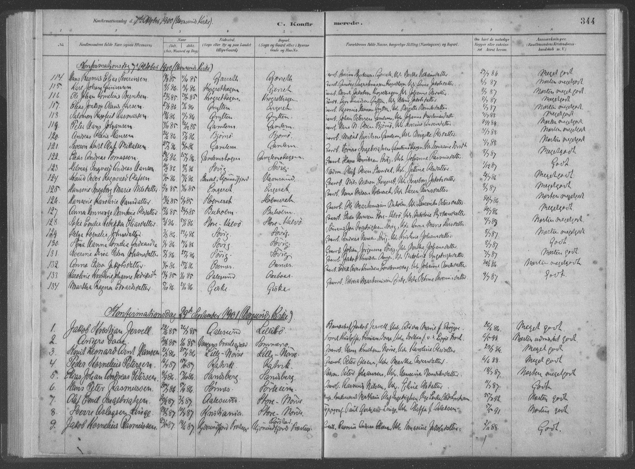 Ministerialprotokoller, klokkerbøker og fødselsregistre - Møre og Romsdal, SAT/A-1454/528/L0402: Parish register (official) no. 528A12II, 1880-1903, p. 344