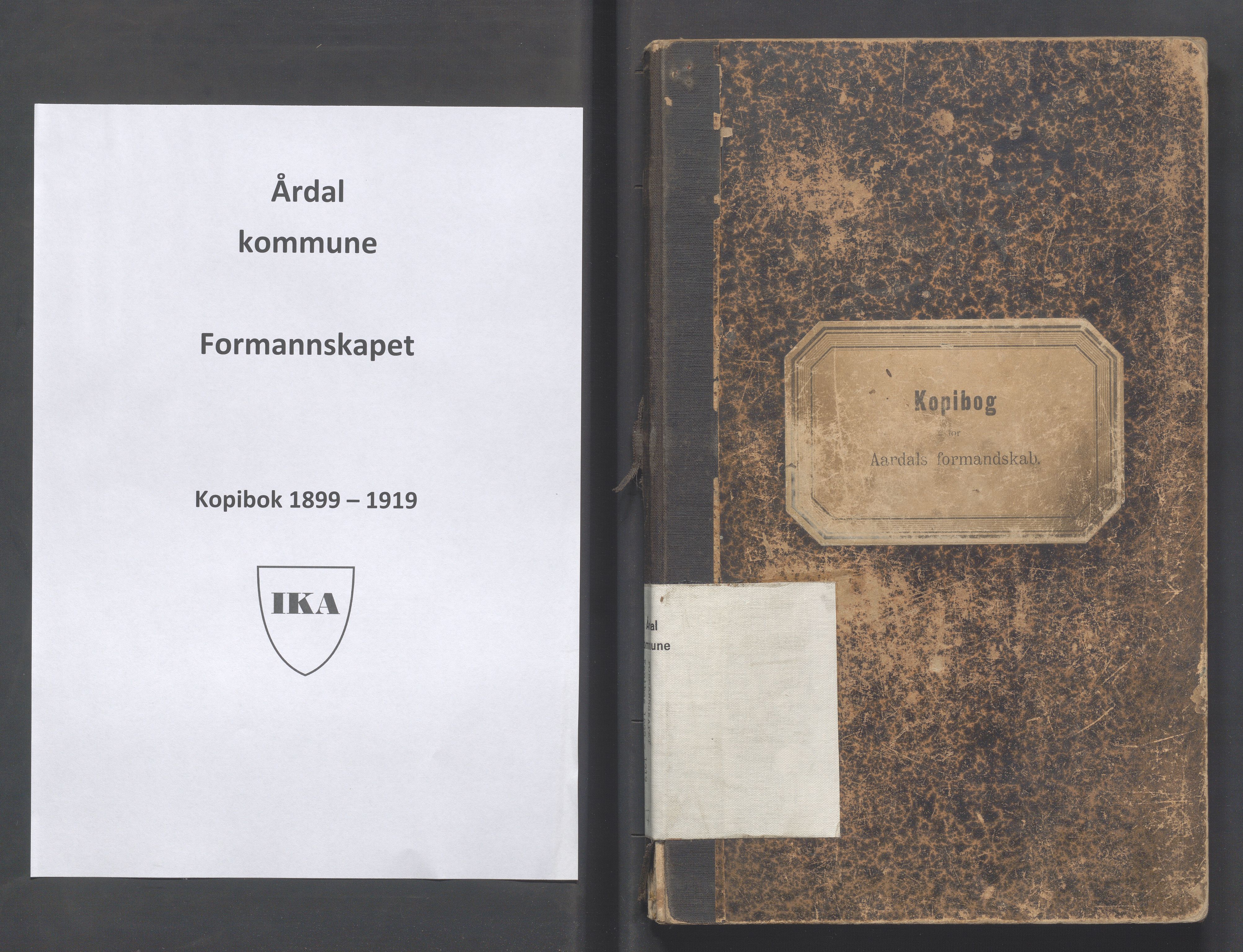 Årdal kommune - Formannskapet, IKAR/K-101953/B/L0002: Kopibok, 1899-1919