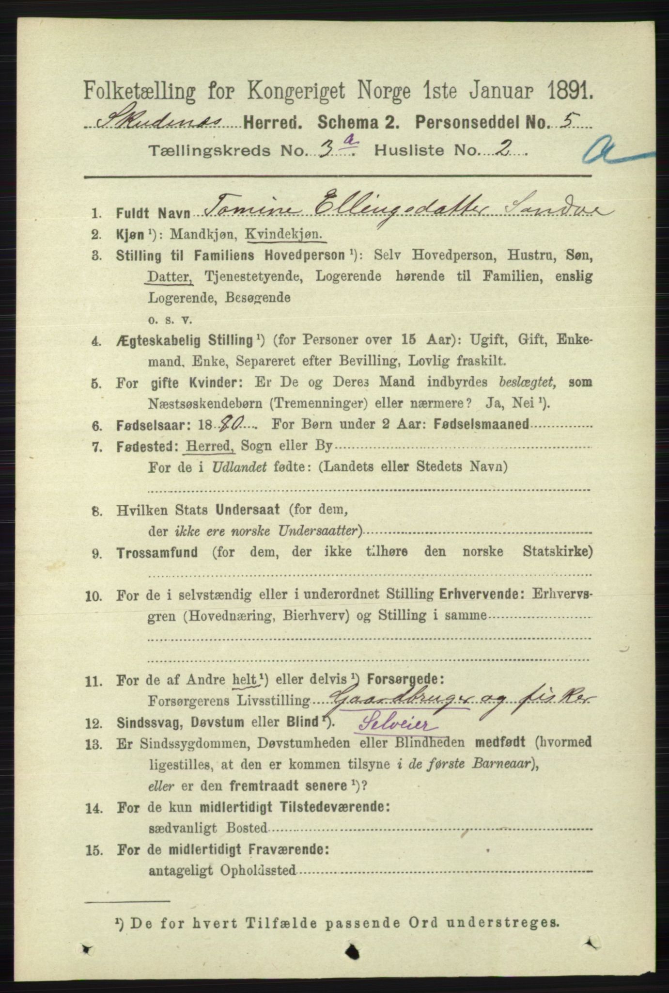 RA, 1891 census for 1150 Skudenes, 1891, p. 1386