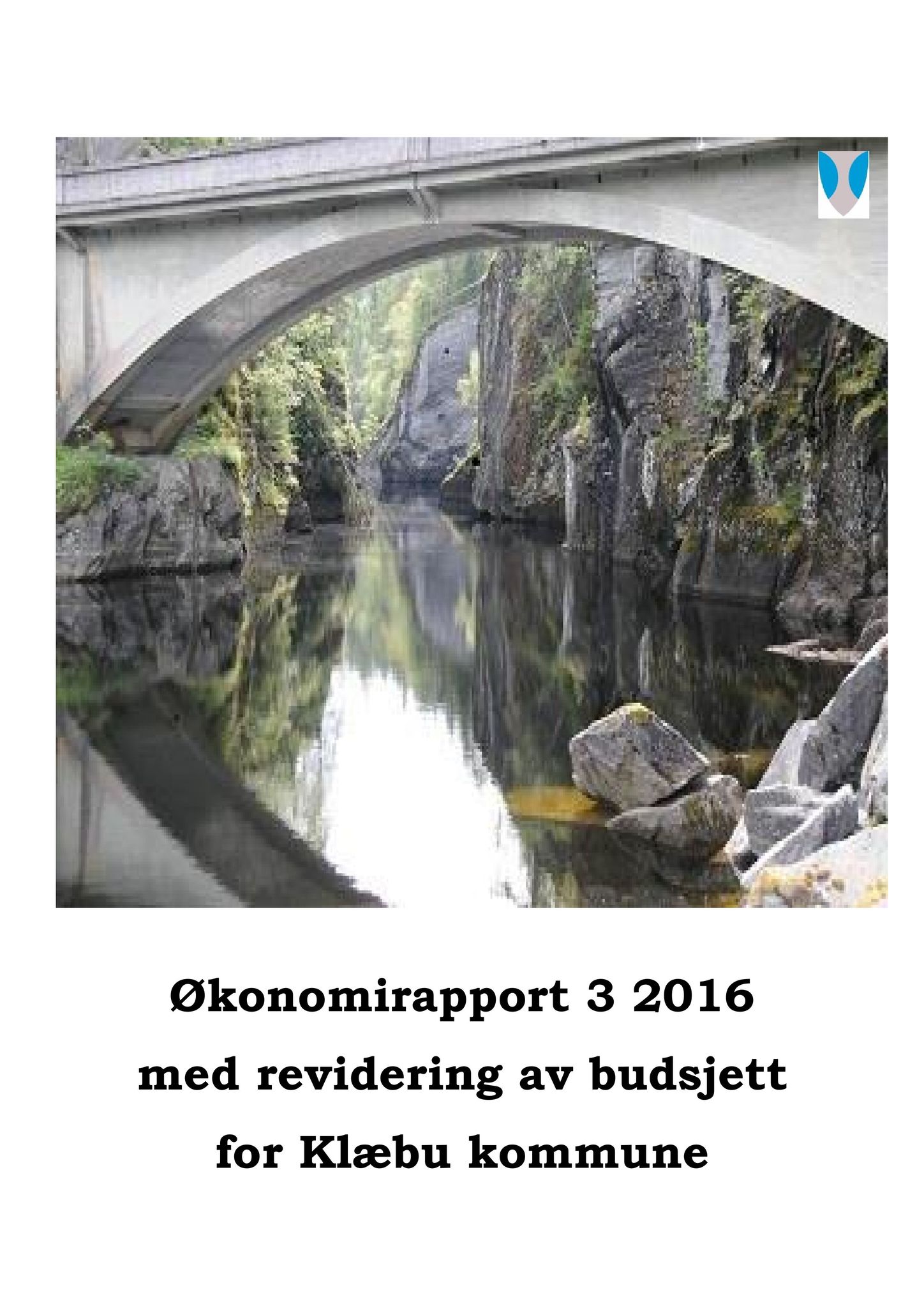 Klæbu Kommune, TRKO/KK/01-KS/L009: Kommunestyret - Møtedokumenter, 2016, p. 1703