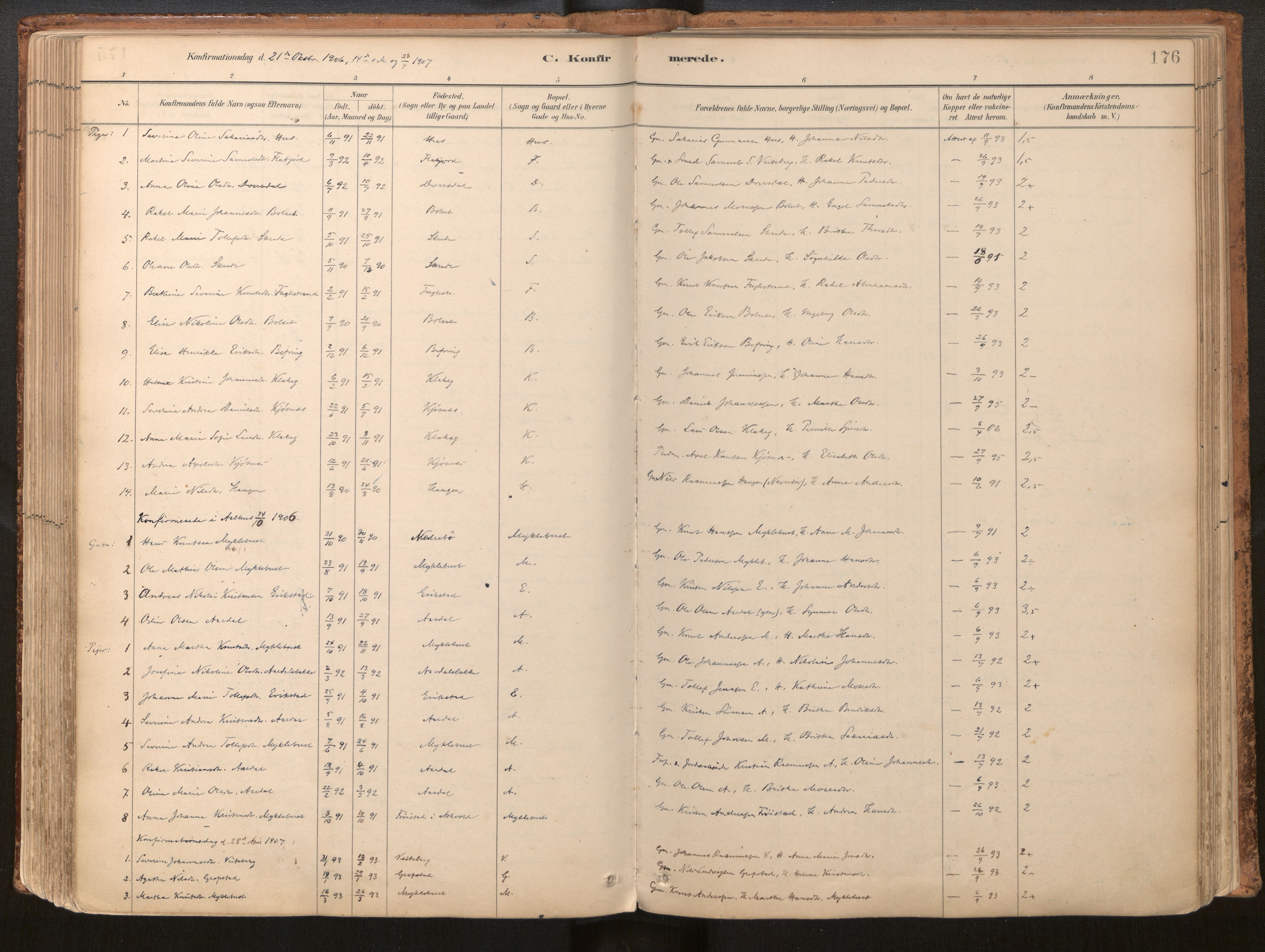 Jølster sokneprestembete, SAB/A-80701/H/Haa/Haac/L0001: Parish register (official) no. C 1, 1882-1928, p. 176