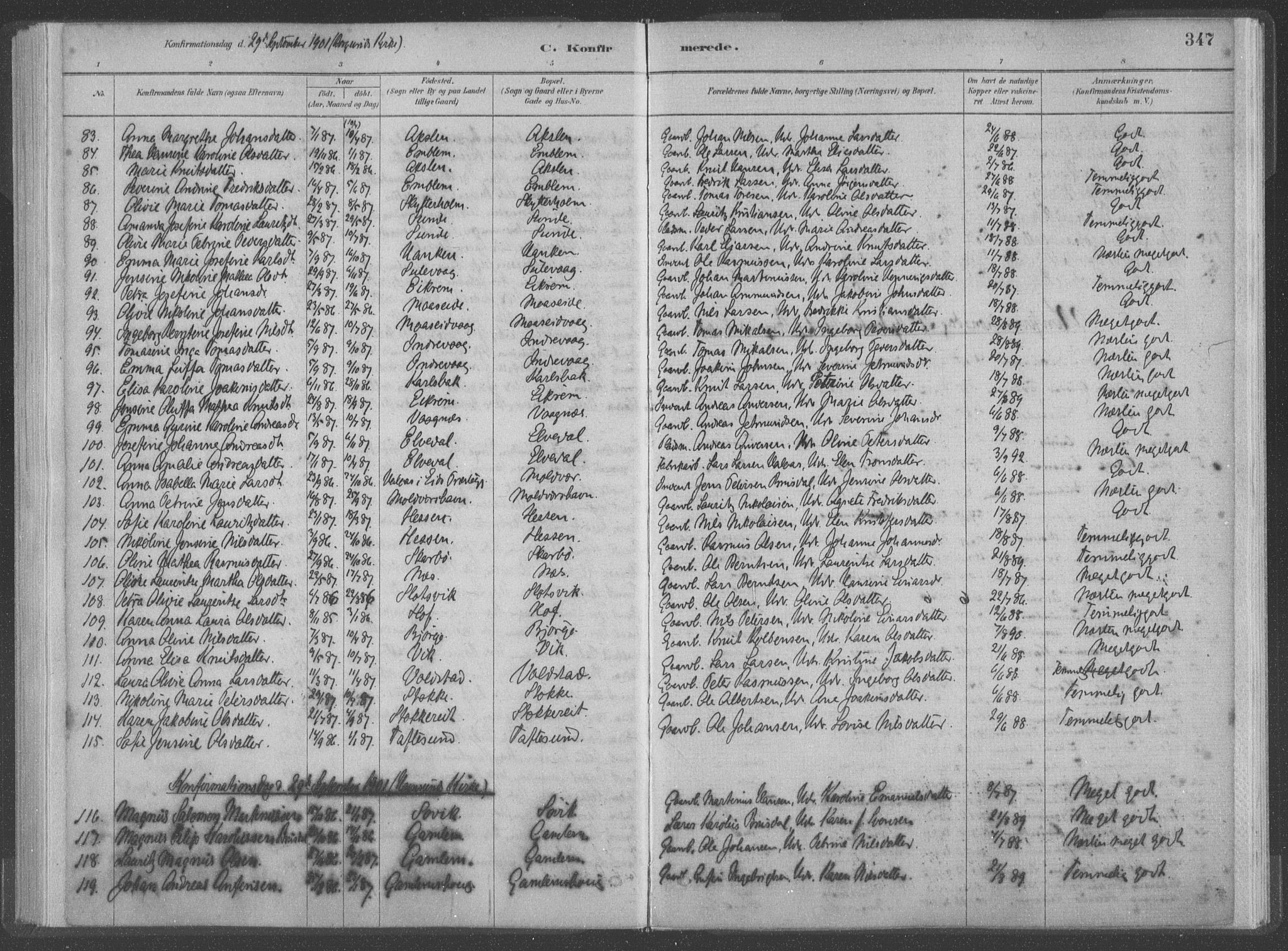 Ministerialprotokoller, klokkerbøker og fødselsregistre - Møre og Romsdal, SAT/A-1454/528/L0402: Parish register (official) no. 528A12II, 1880-1903, p. 347