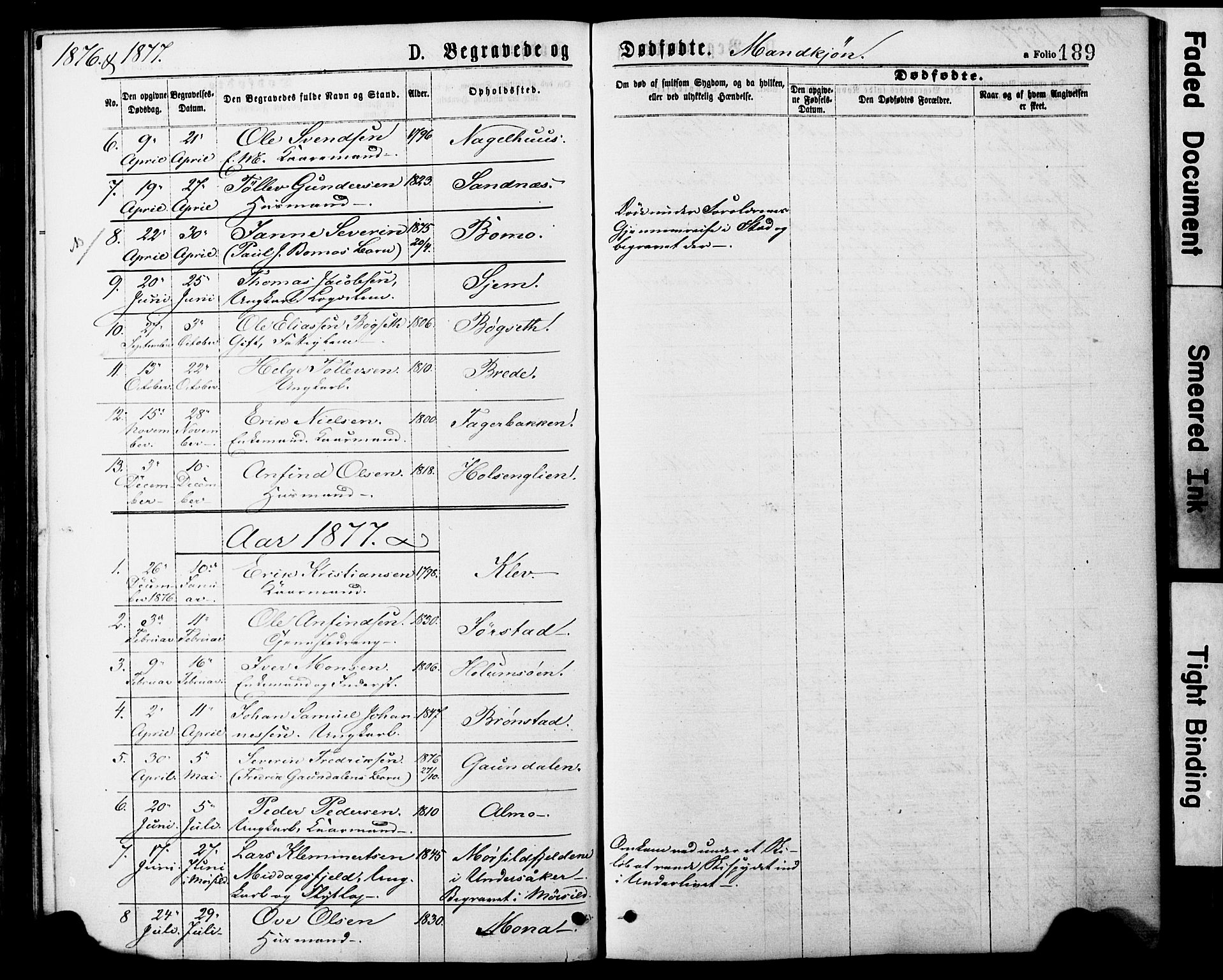 Ministerialprotokoller, klokkerbøker og fødselsregistre - Nord-Trøndelag, SAT/A-1458/749/L0473: Parish register (official) no. 749A07, 1873-1887, p. 189