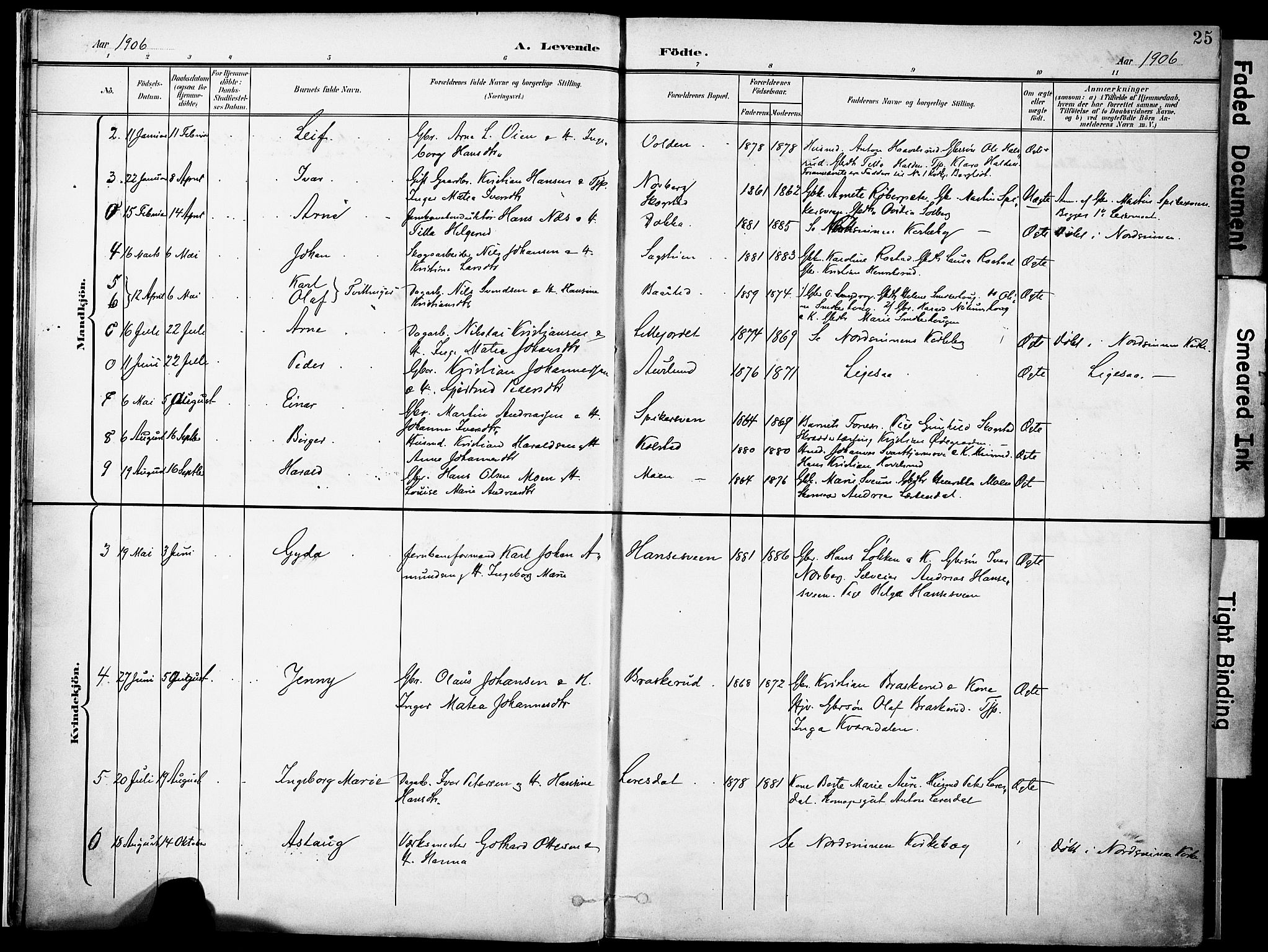 Nordre Land prestekontor, SAH/PREST-124/H/Ha/Haa/L0006: Parish register (official) no. 6, 1897-1914, p. 25