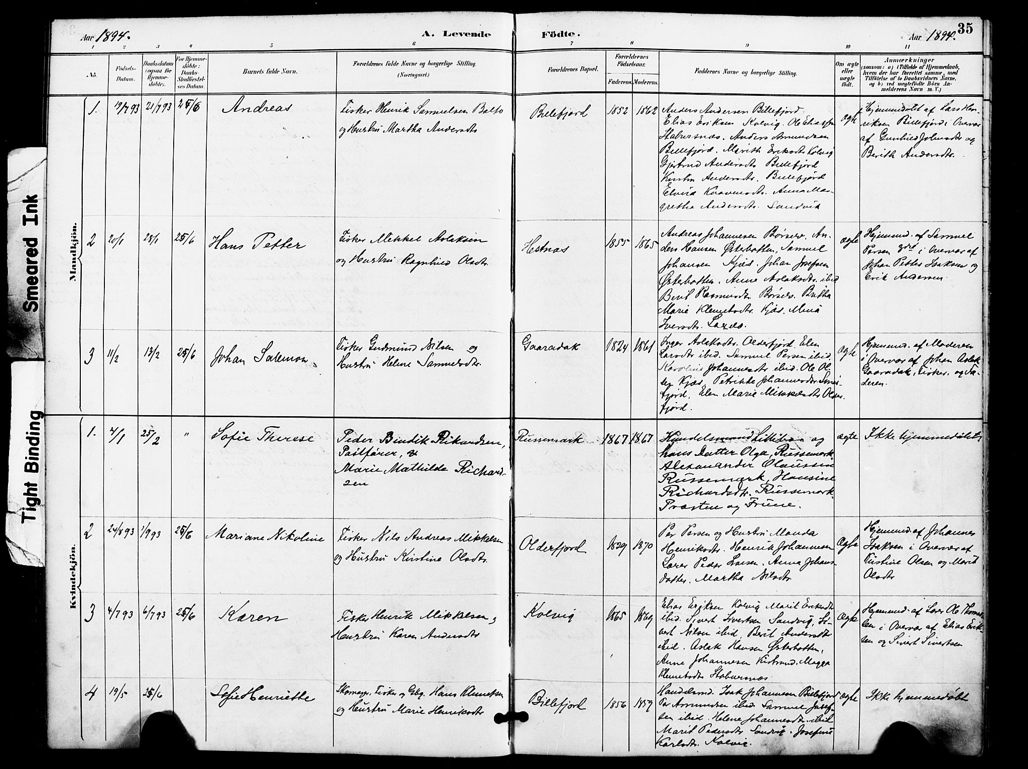 Kistrand/Porsanger sokneprestembete, AV/SATØ-S-1351/H/Ha/L0008.kirke: Parish register (official) no. 8, 1890-1898, p. 35