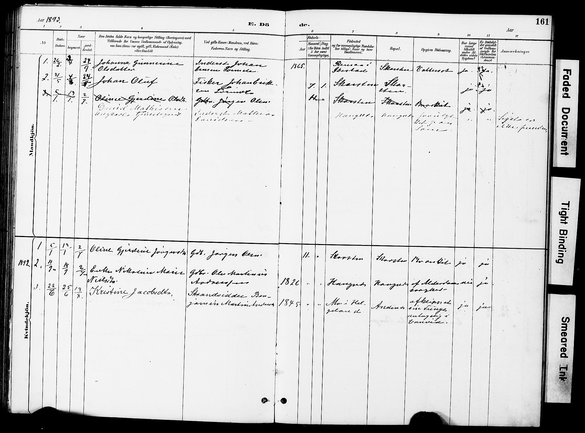 Ministerialprotokoller, klokkerbøker og fødselsregistre - Nordland, AV/SAT-A-1459/899/L1448: Parish register (copy) no. 899C03, 1887-1902, p. 161