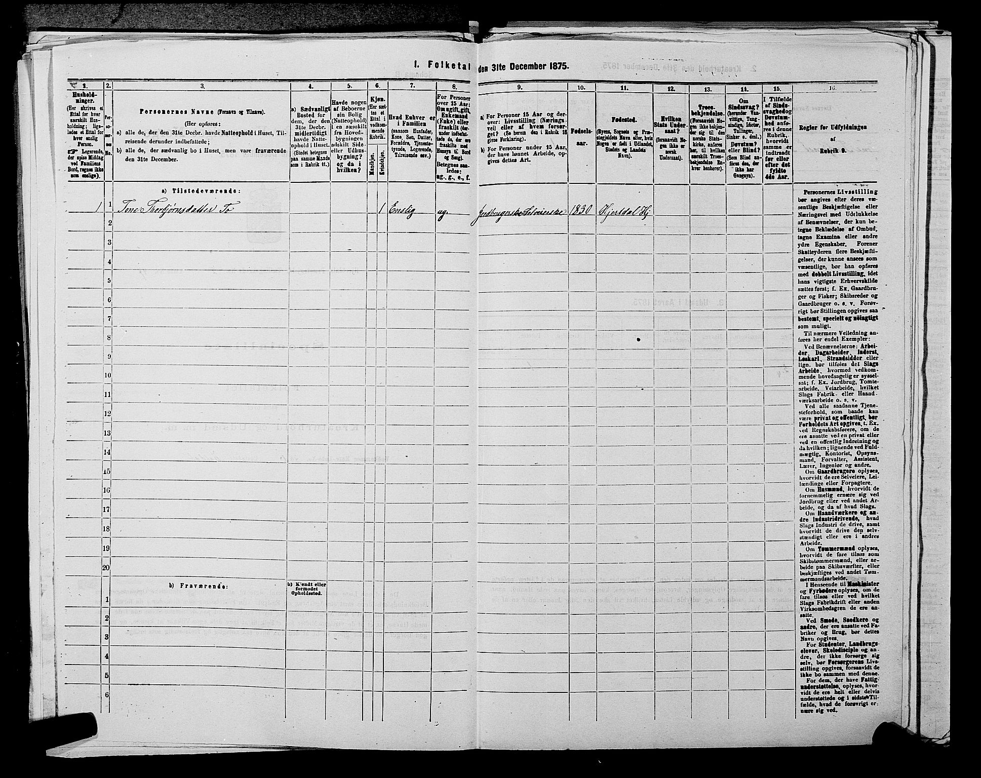 SAKO, 1875 census for 0827P Hjartdal, 1875, p. 302
