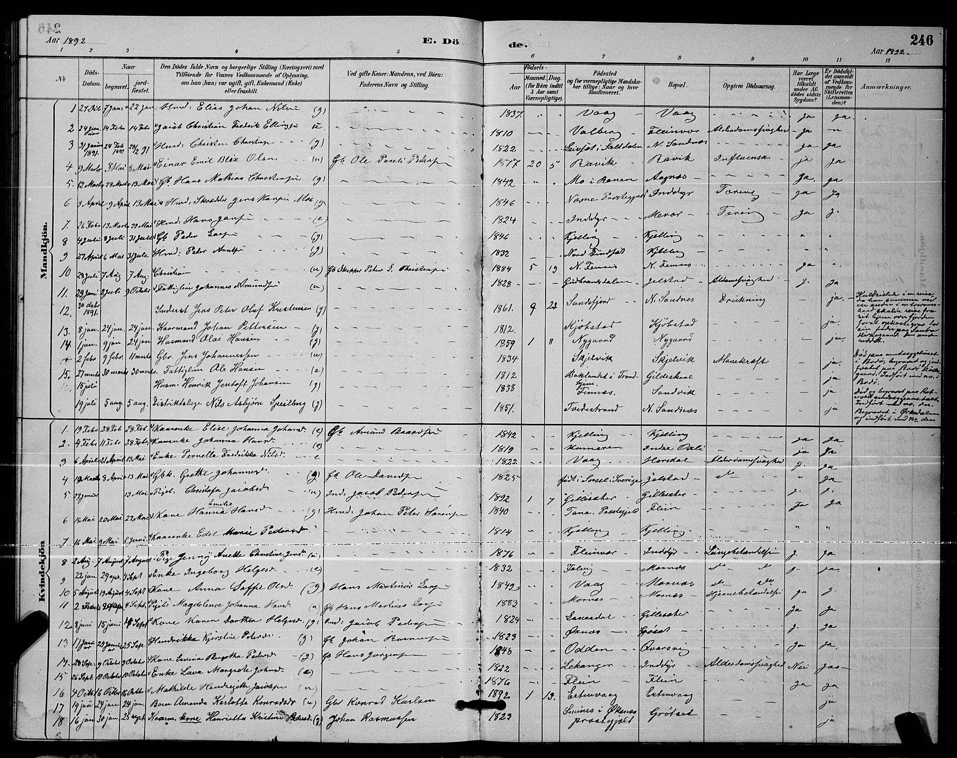 Ministerialprotokoller, klokkerbøker og fødselsregistre - Nordland, AV/SAT-A-1459/805/L0108: Parish register (copy) no. 805C04, 1885-1899, p. 246