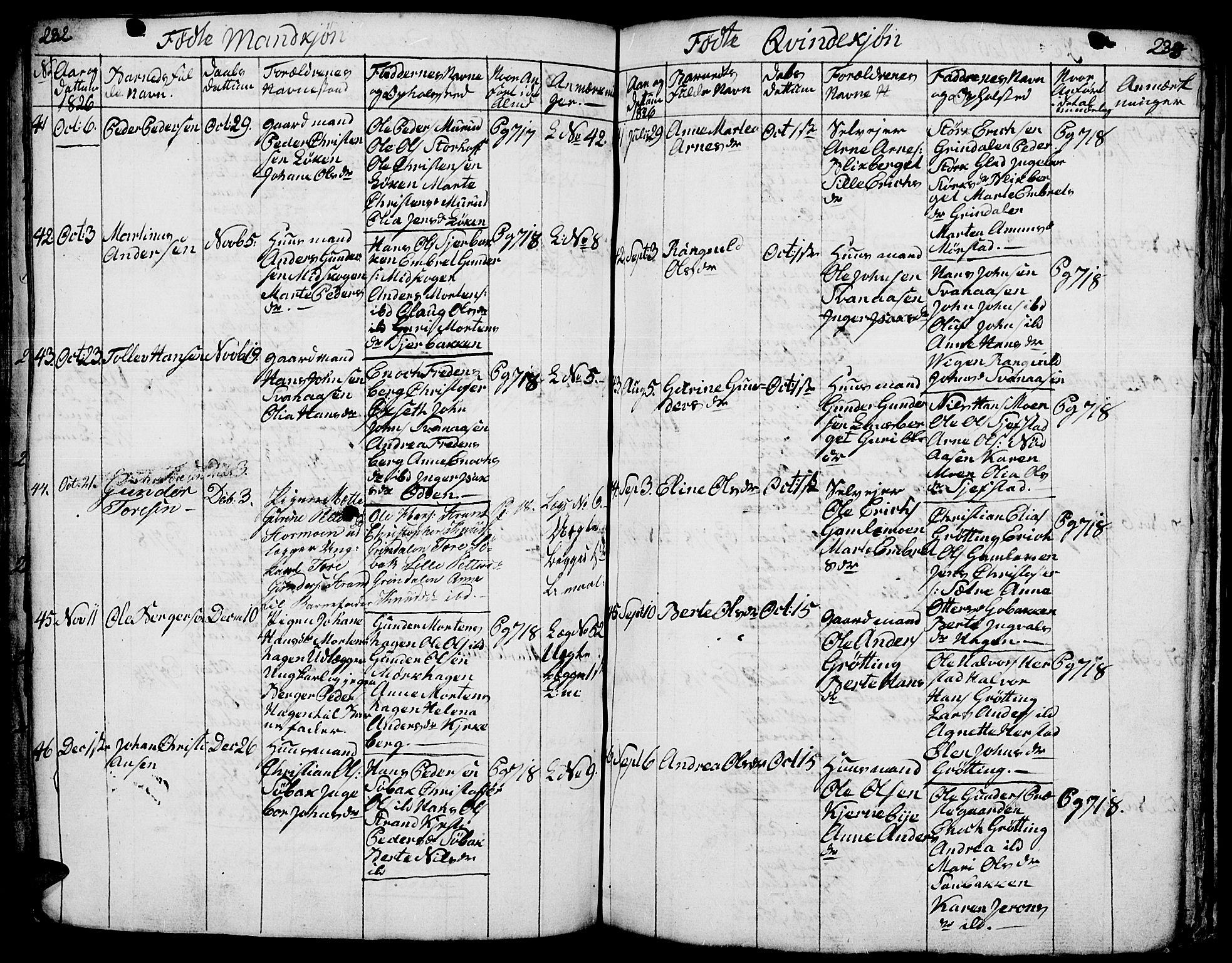 Elverum prestekontor, AV/SAH-PREST-044/H/Ha/Hab/L0001: Parish register (copy) no. 1, 1815-1829, p. 232-233