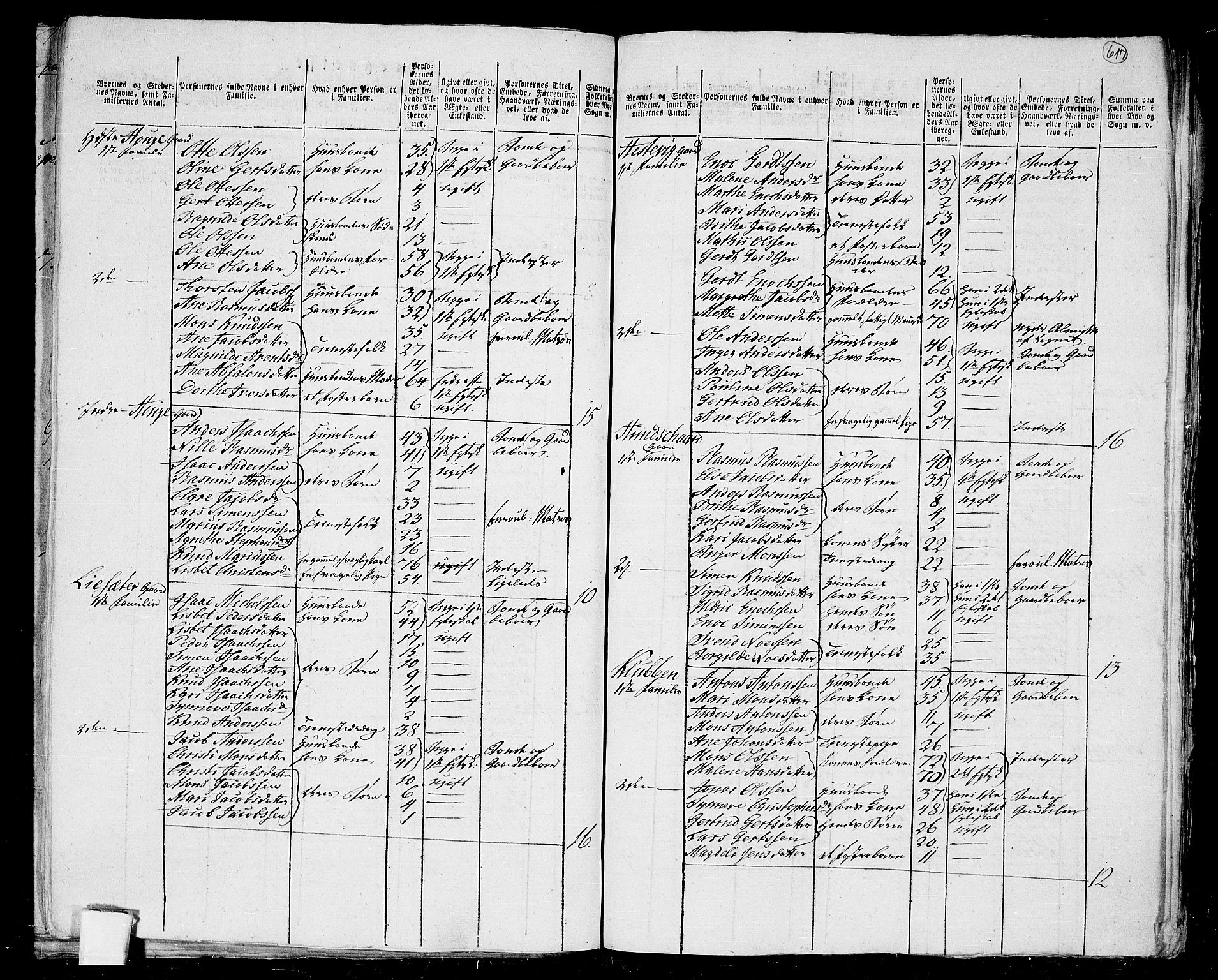 RA, 1801 census for 1442P Davik, 1801, p. 616b-617a