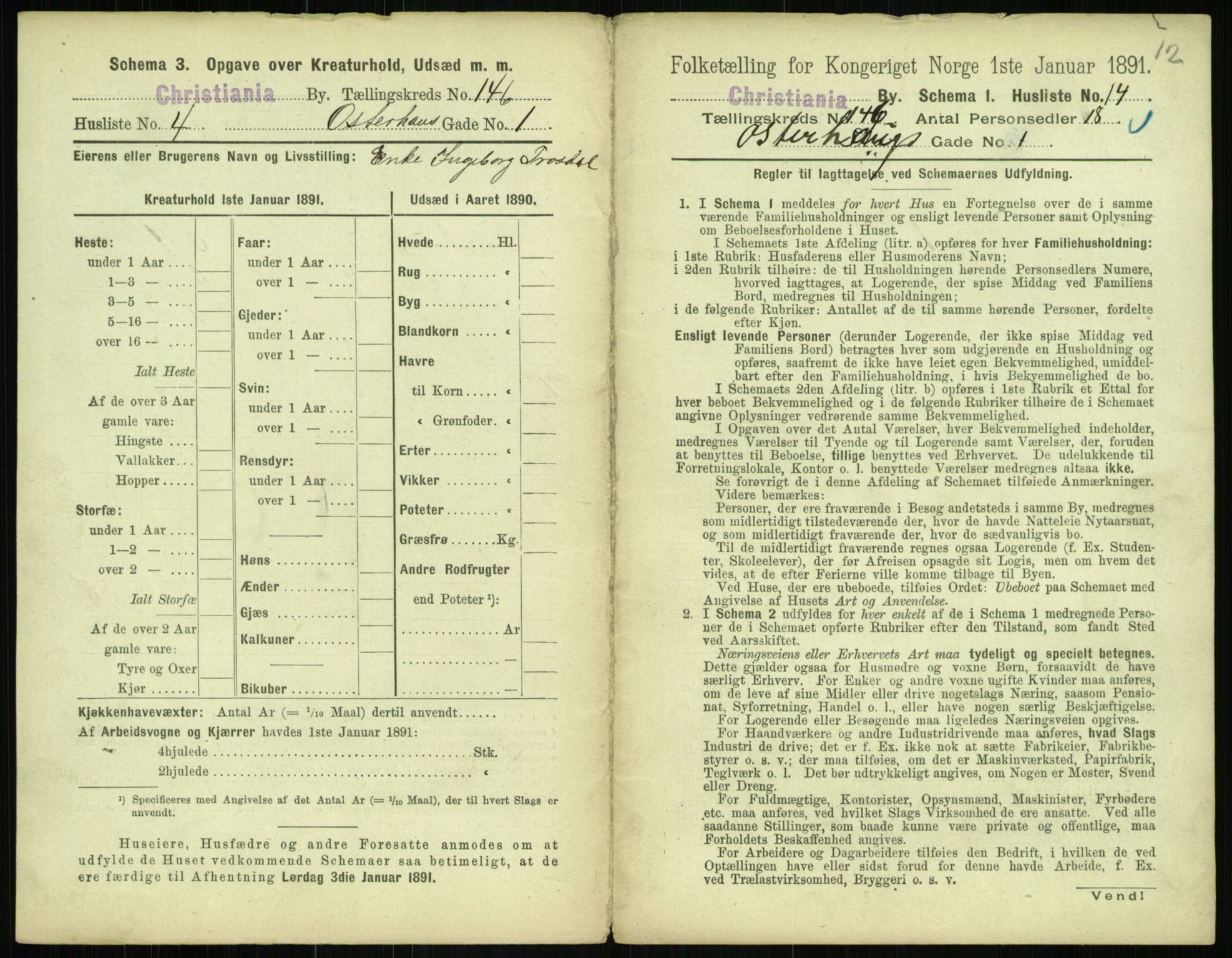 RA, 1891 census for 0301 Kristiania, 1891, p. 80140