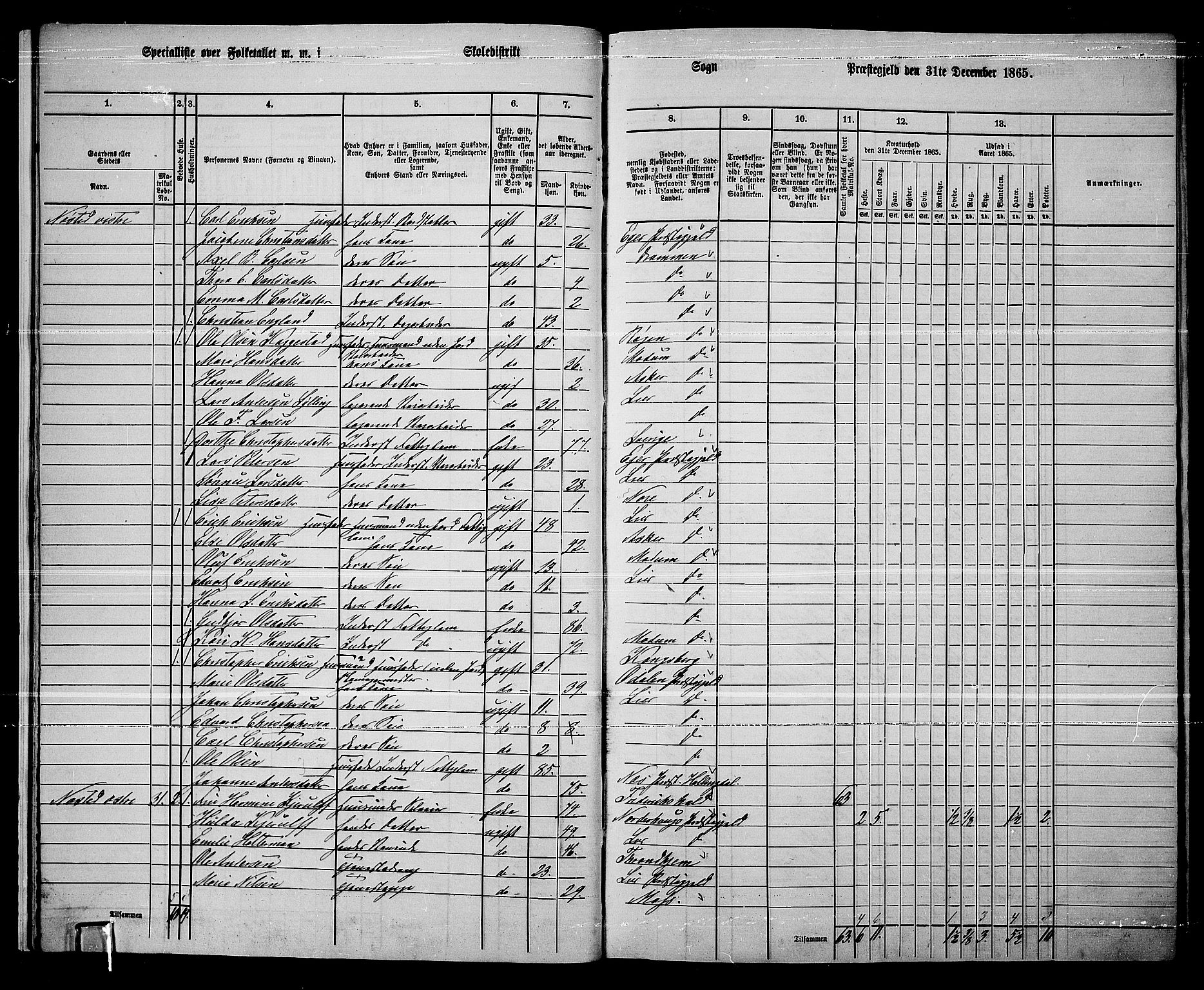 RA, 1865 census for Lier, 1865, p. 18