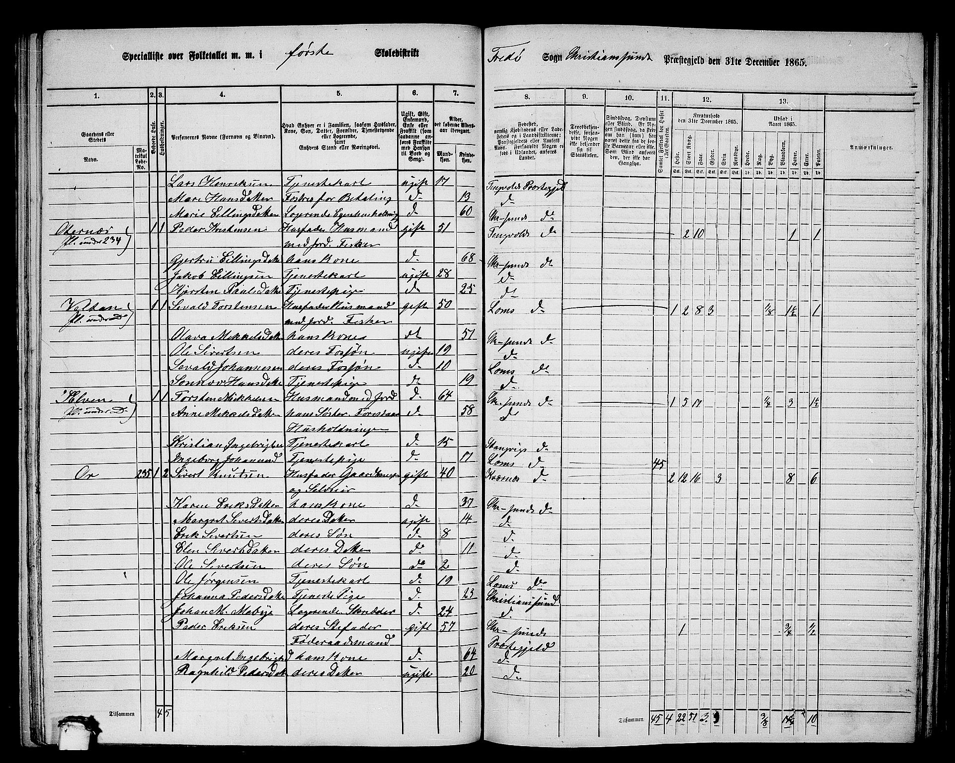 RA, 1865 census for Kristiansund/Frei og Grip, 1865, p. 22