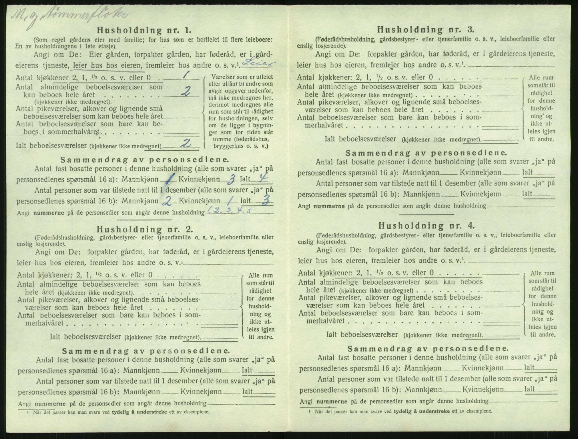 SAK, 1920 census for Holt, 1920, p. 1427