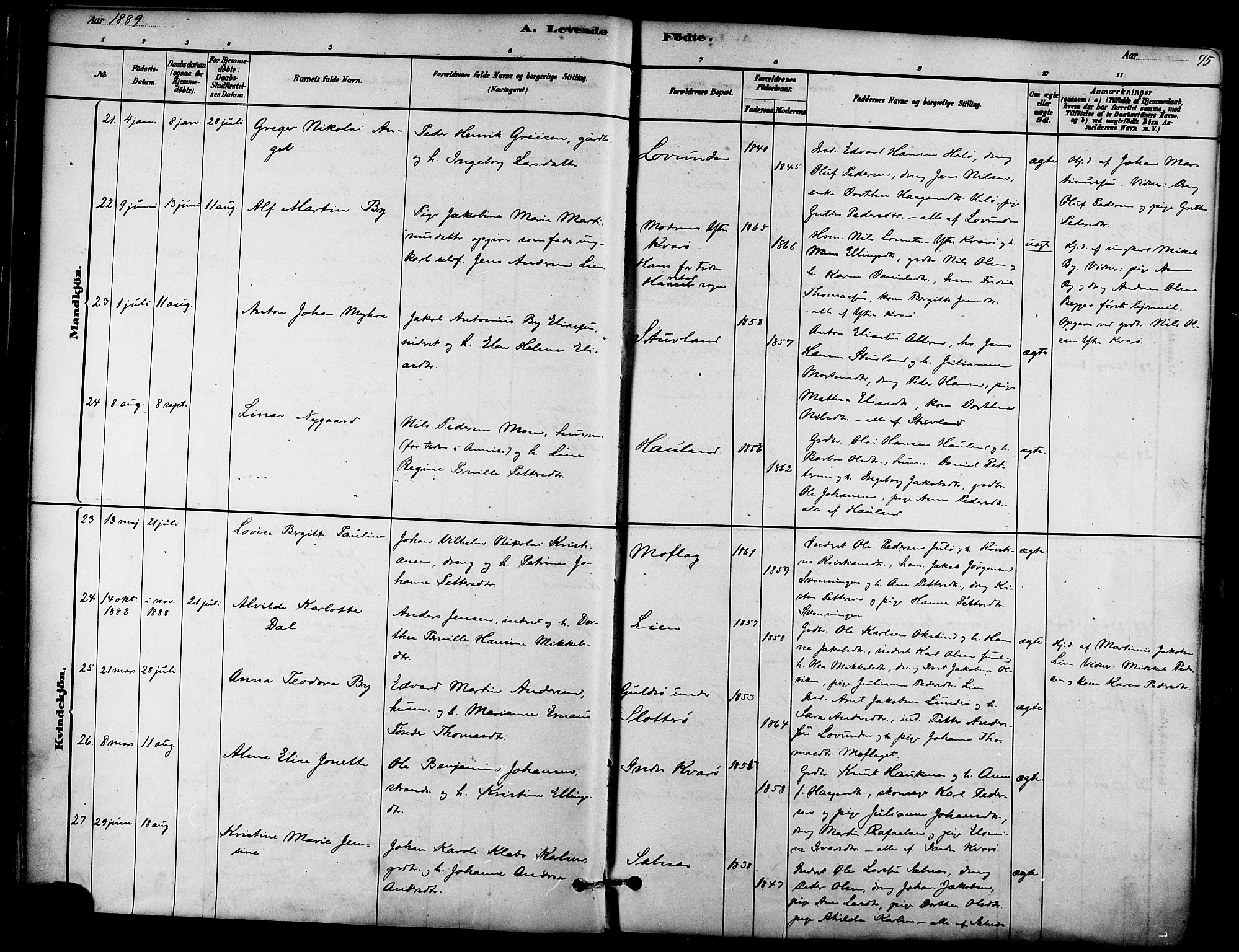 Ministerialprotokoller, klokkerbøker og fødselsregistre - Nordland, AV/SAT-A-1459/839/L0568: Parish register (official) no. 839A05, 1880-1902, p. 75