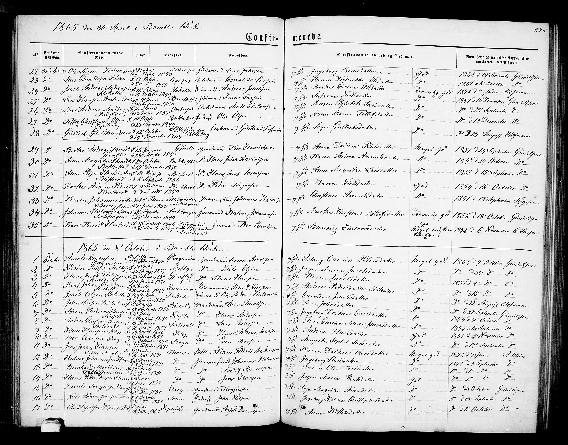Bamble kirkebøker, SAKO/A-253/G/Ga/L0006: Parish register (copy) no. I 6, 1860-1876, p. 225