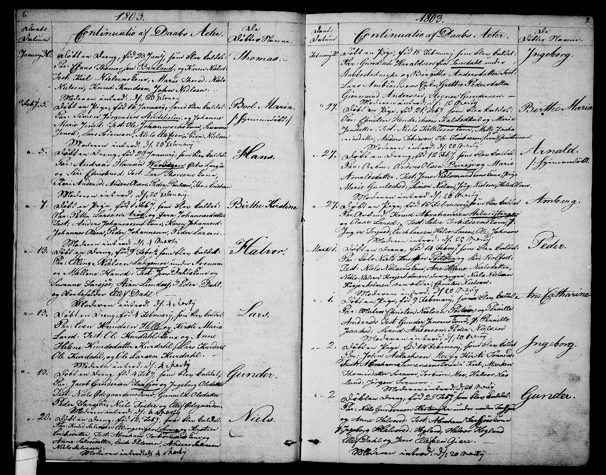 Sannidal kirkebøker, AV/SAKO-A-296/F/Fa/L0003: Parish register (official) no. 3, 1803-1813, p. 6-7