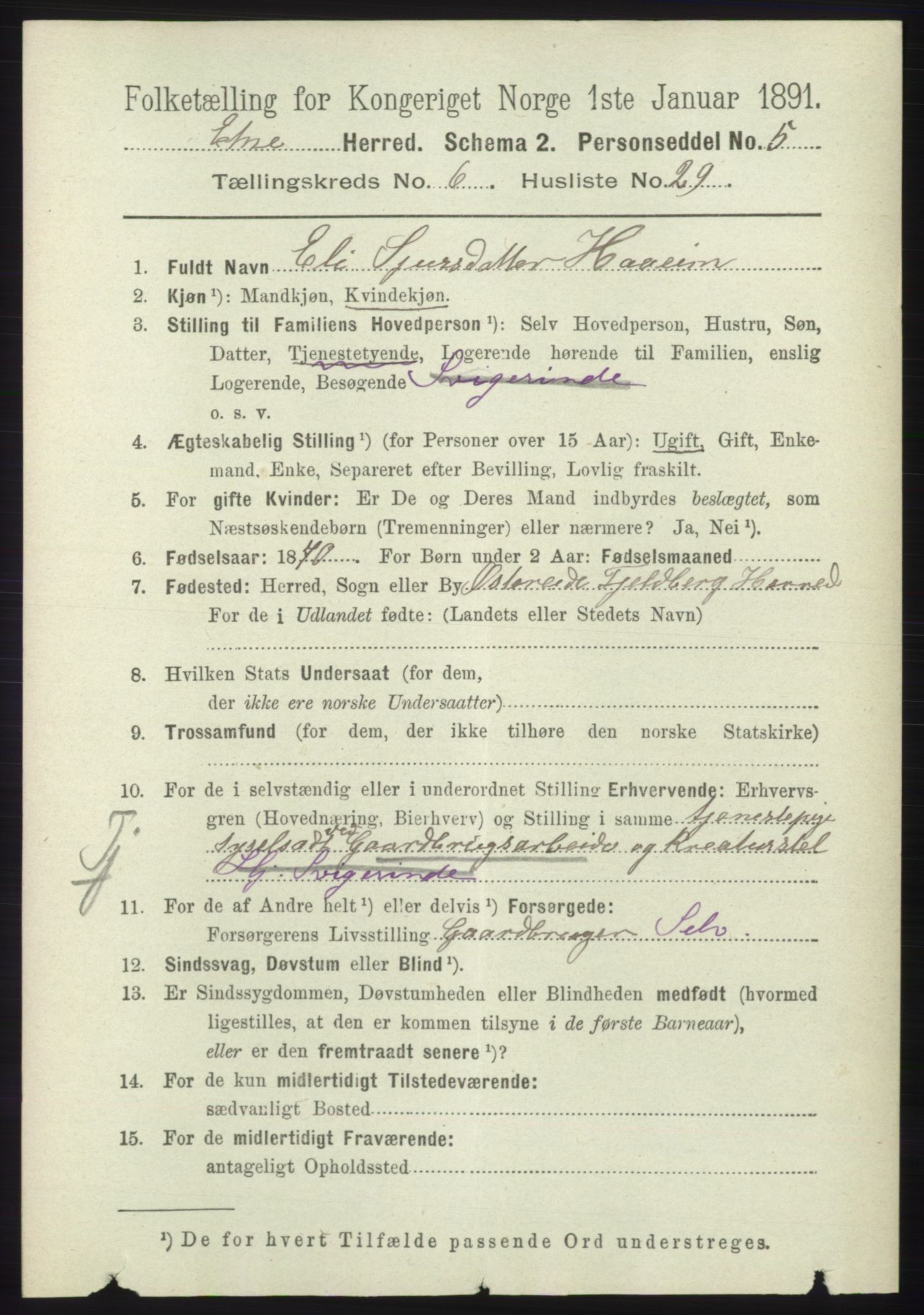 RA, 1891 census for 1211 Etne, 1891, p. 1355