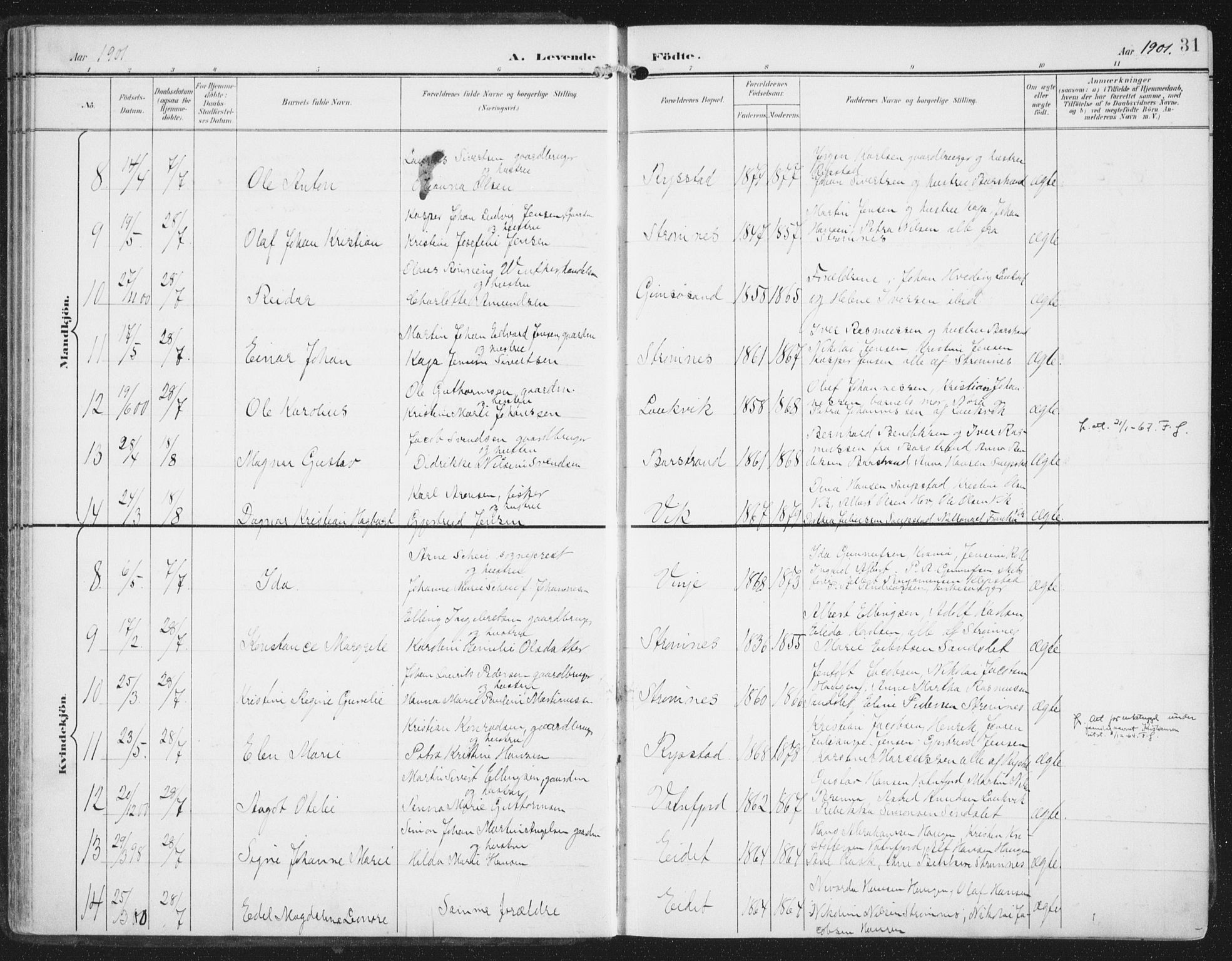 Ministerialprotokoller, klokkerbøker og fødselsregistre - Nordland, SAT/A-1459/876/L1098: Parish register (official) no. 876A04, 1896-1915, p. 31