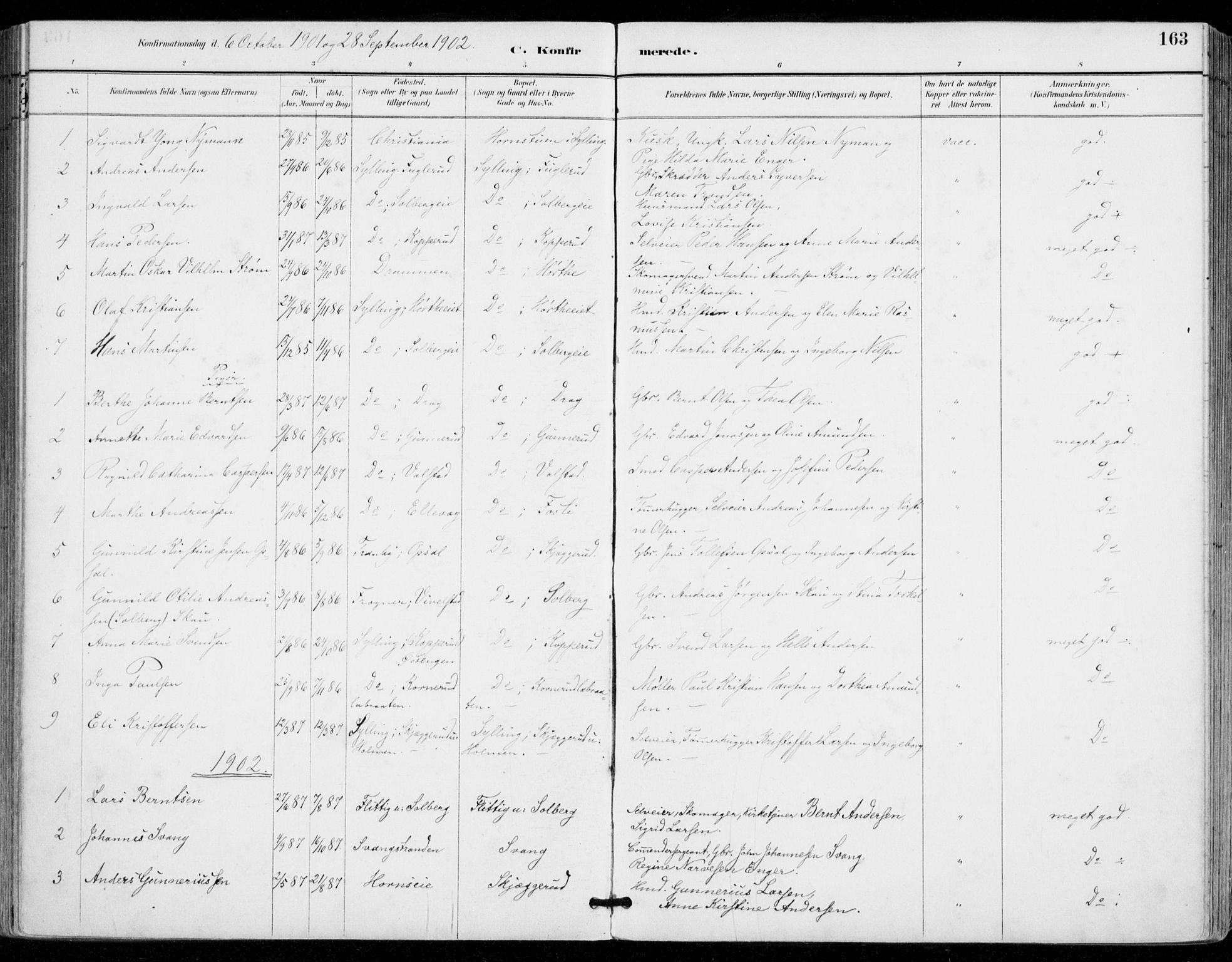 Sylling kirkebøker, AV/SAKO-A-247/F/Fa/L0001: Parish register (official) no. 1, 1883-1910, p. 163