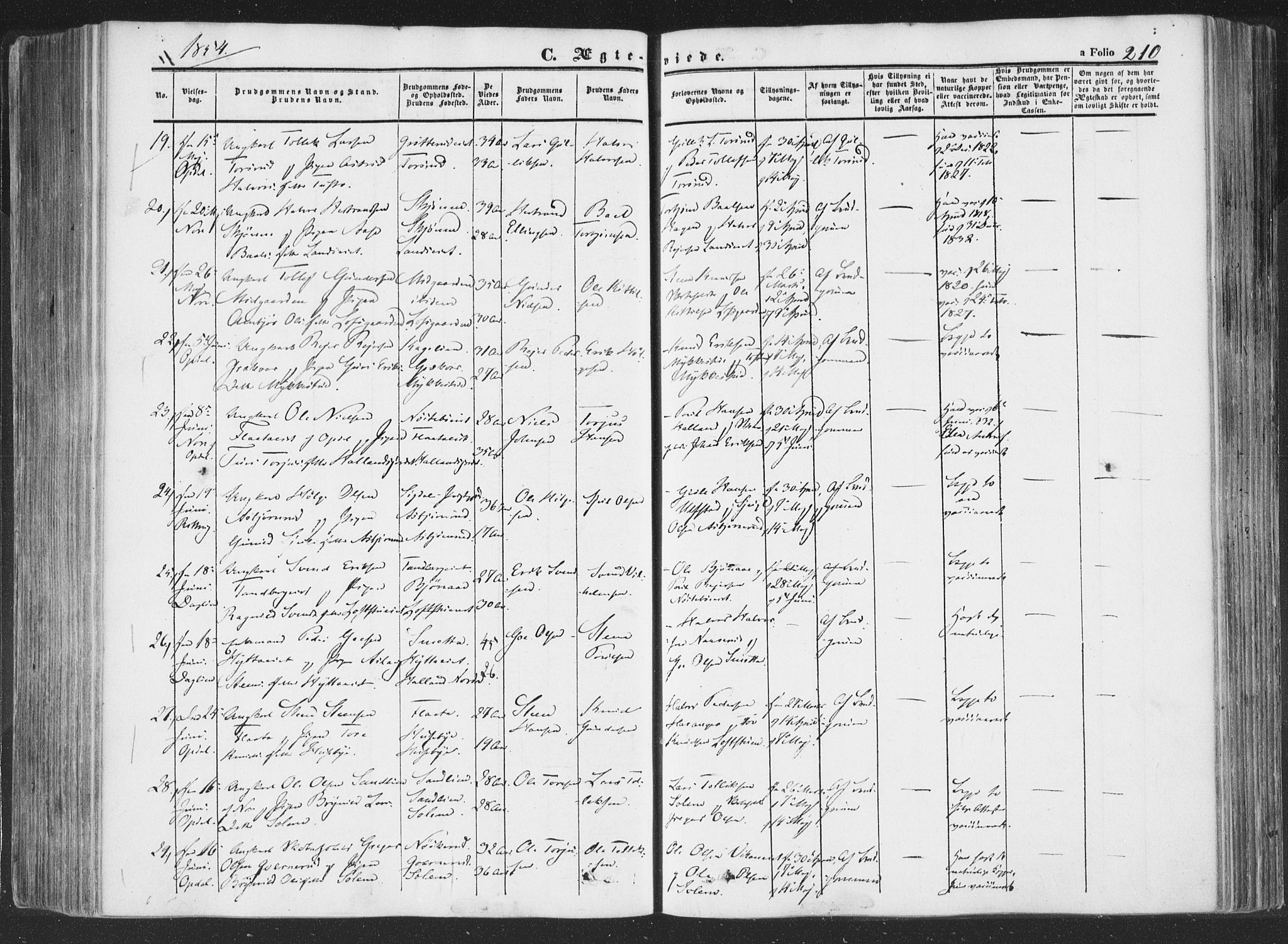 Rollag kirkebøker, AV/SAKO-A-240/F/Fa/L0008: Parish register (official) no. I 8, 1847-1860, p. 210