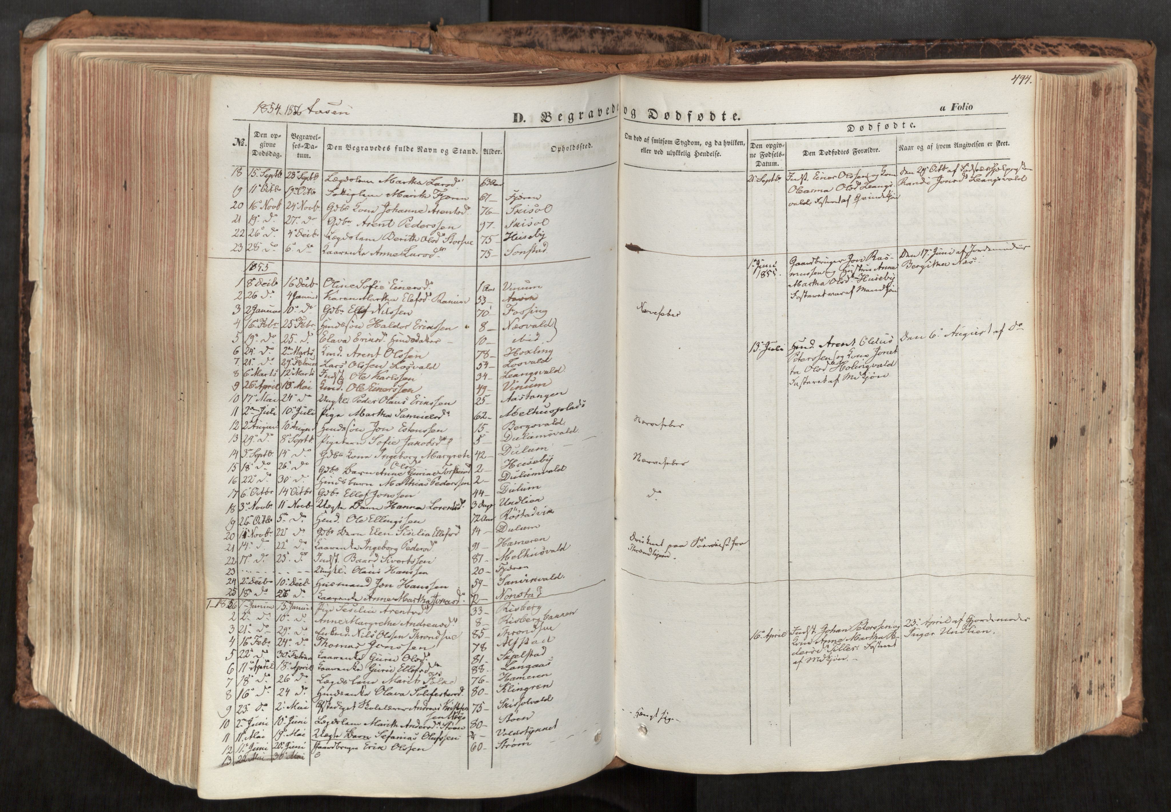 Ministerialprotokoller, klokkerbøker og fødselsregistre - Nord-Trøndelag, SAT/A-1458/713/L0116: Parish register (official) no. 713A07, 1850-1877, p. 494
